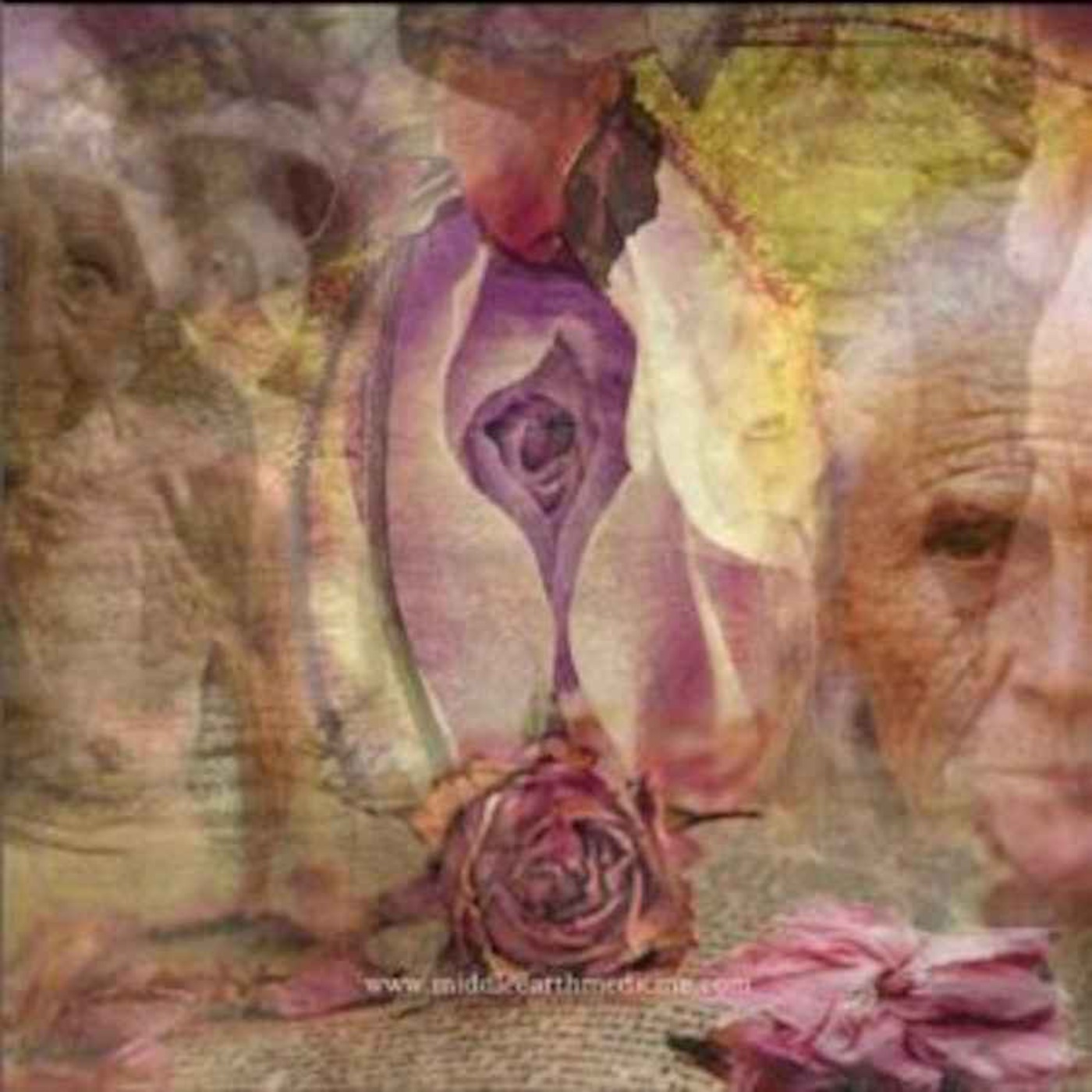 SOUL Purpose ~ with Caroline Carey ~ a journey of human-soul stories that lead to entrepreneurial offerings
