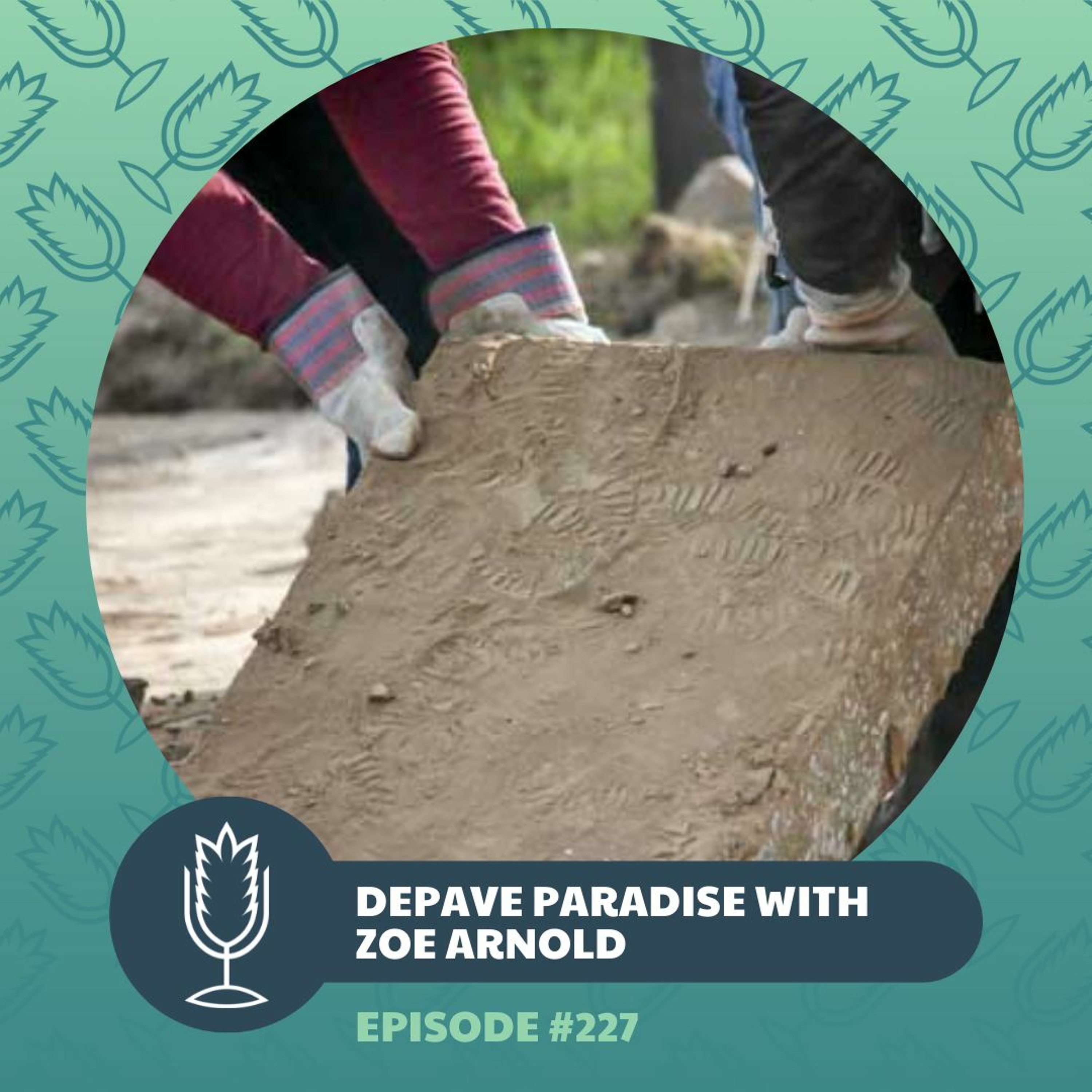 From The Ground Up Ep. 227: Depave Paradise | 2022.04.13 episode artwork
