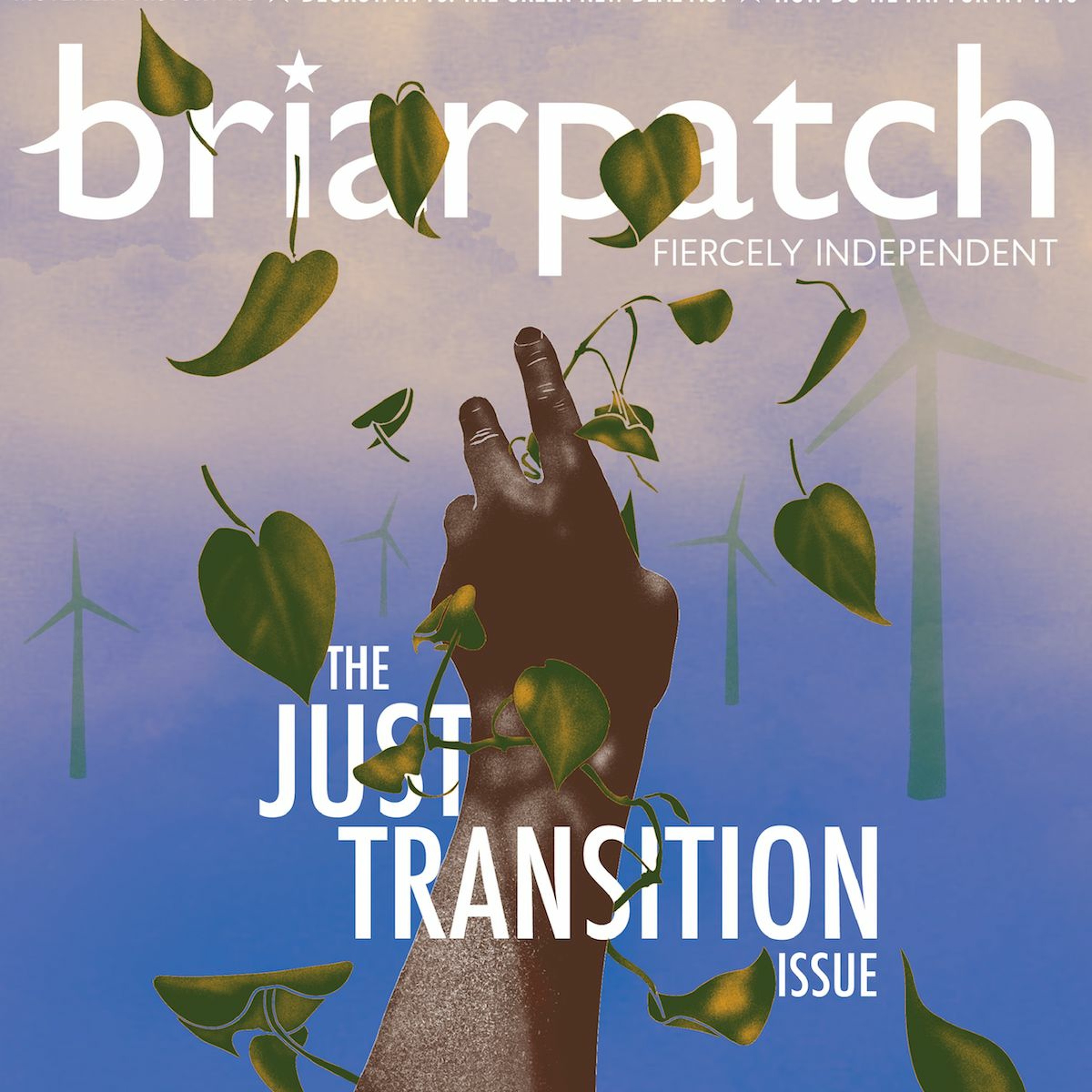 From the Ground Up Ep. 130: Briarpatch Just Transition with Saima Desai | 2019.07.10 episode artwork