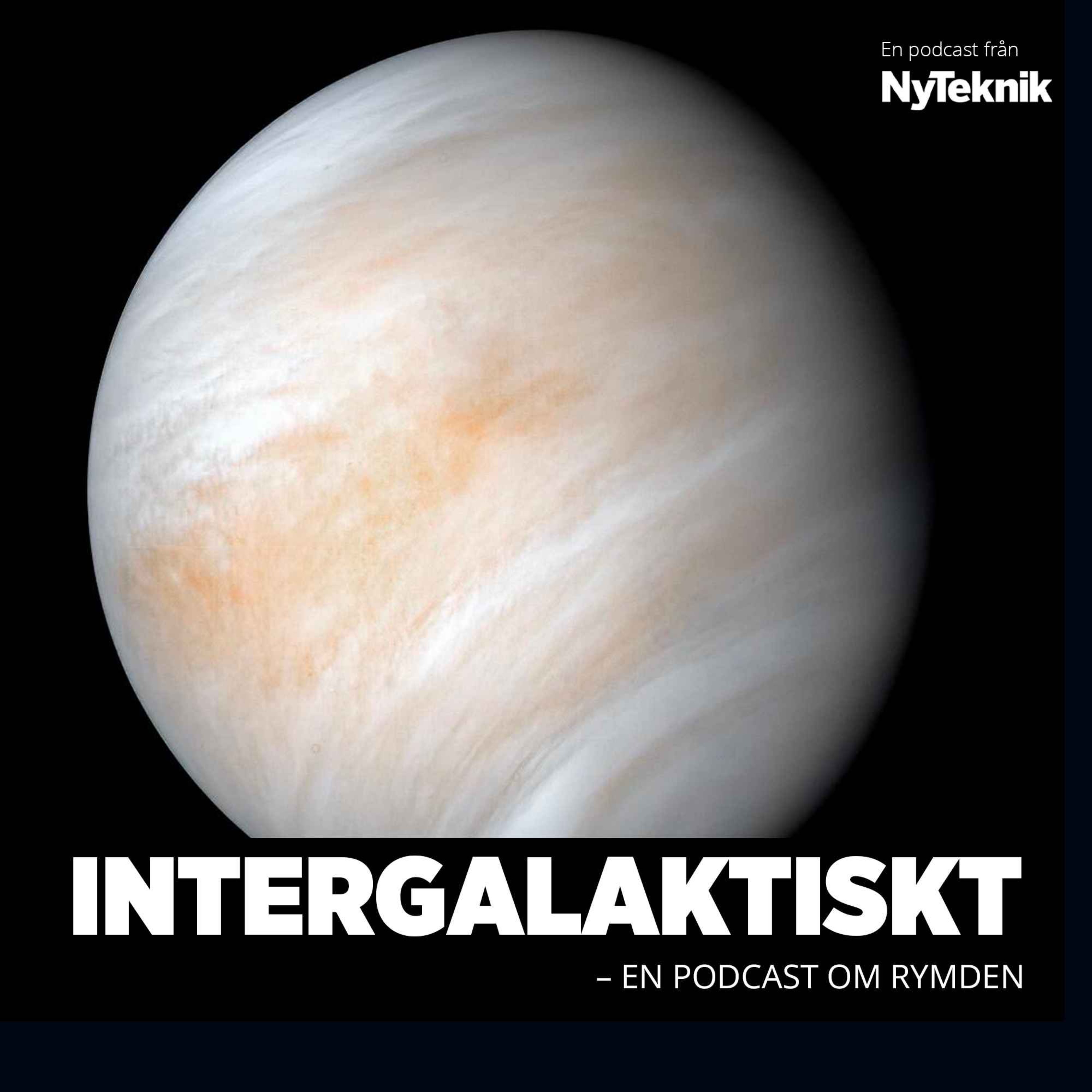 Gröna gubbar eller inte – astrobiologen reder ut vad vi vet om liv på Venus