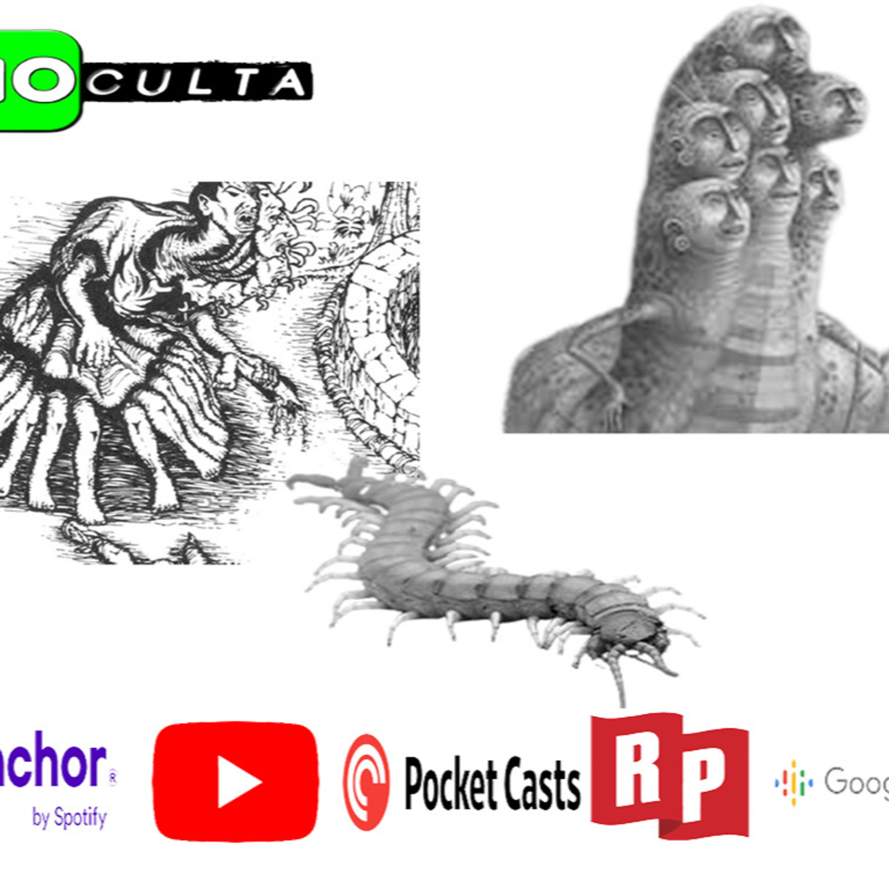 Mito-sis