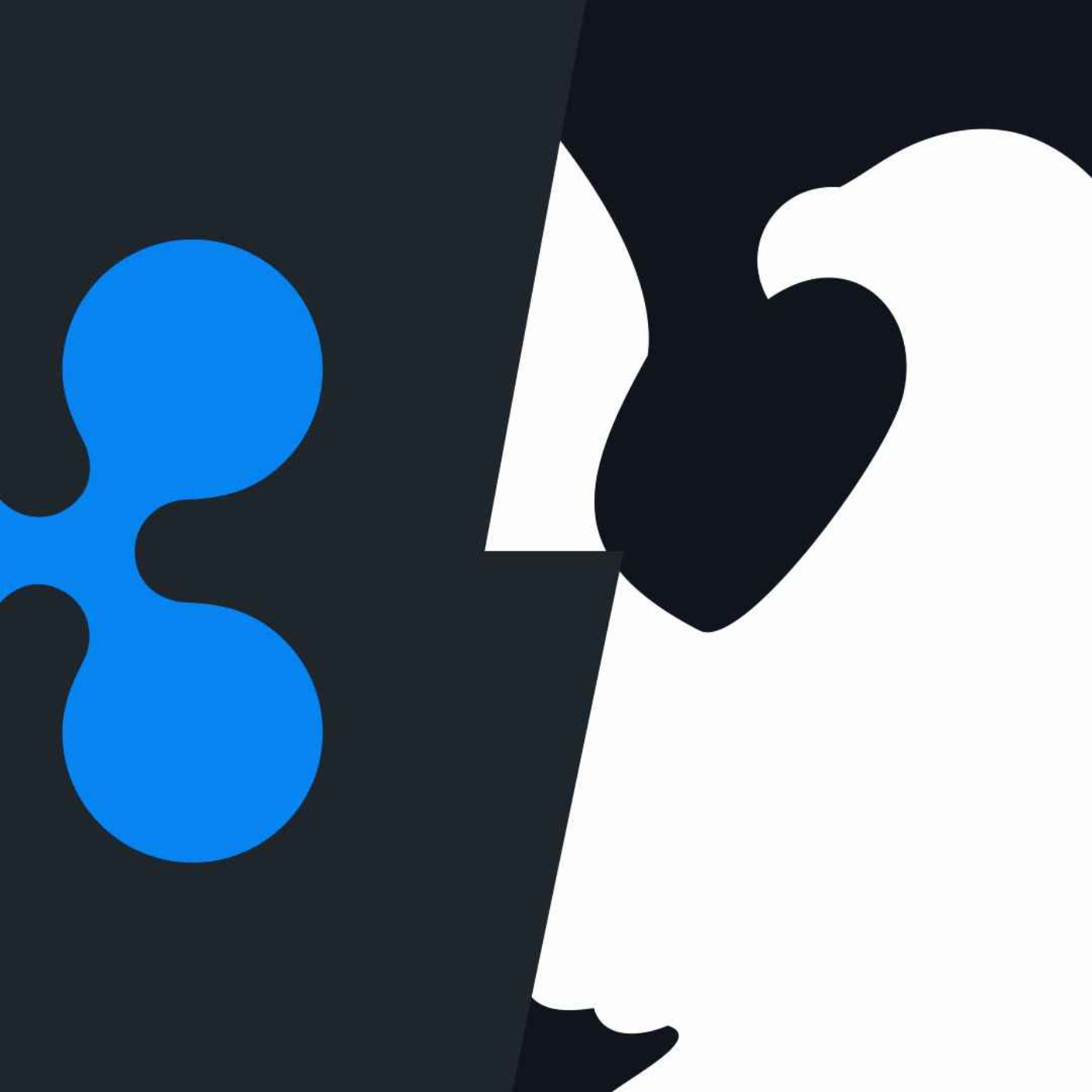 Cryptocurrency news by Protos