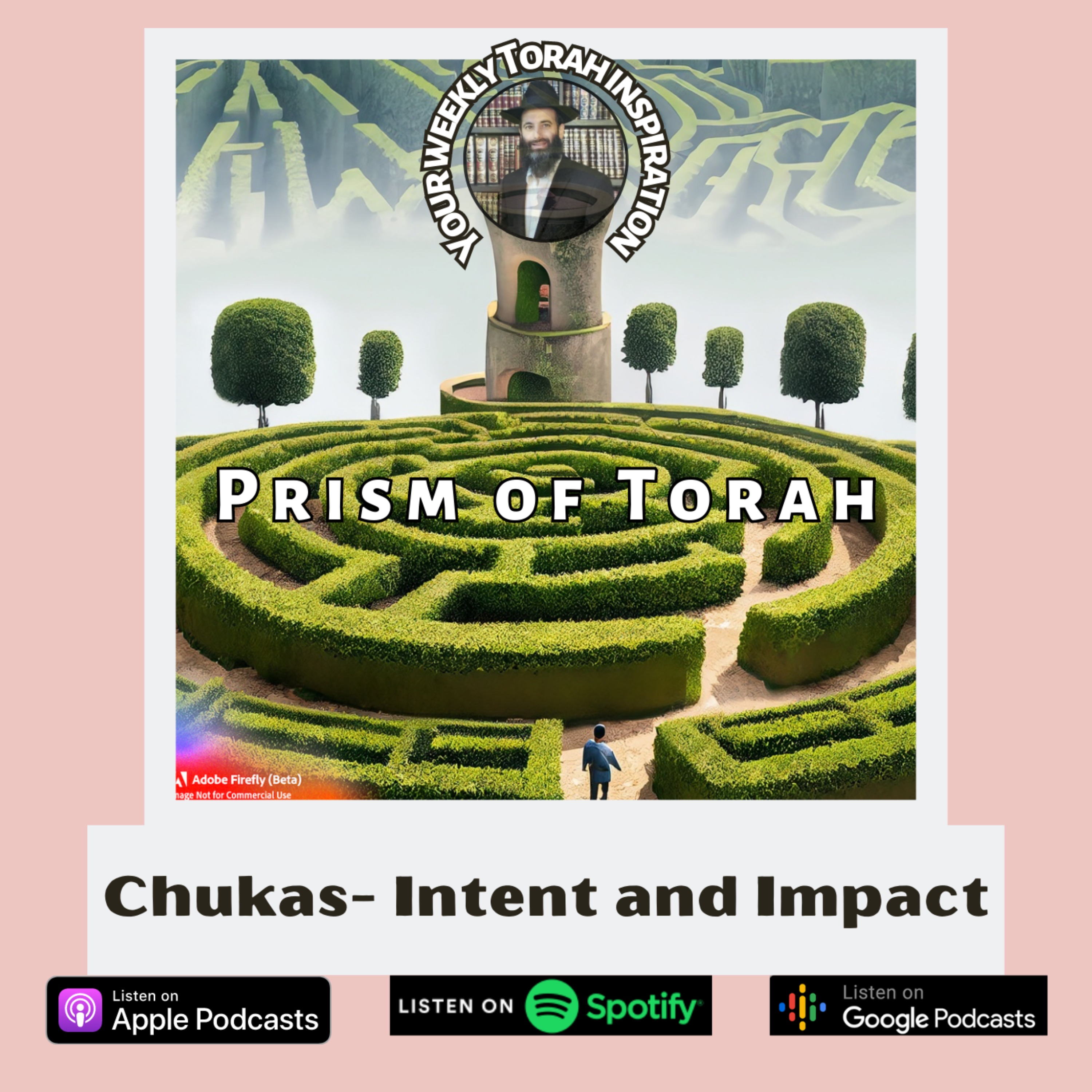 cover art for Parshas Chukas- Intent and Impact