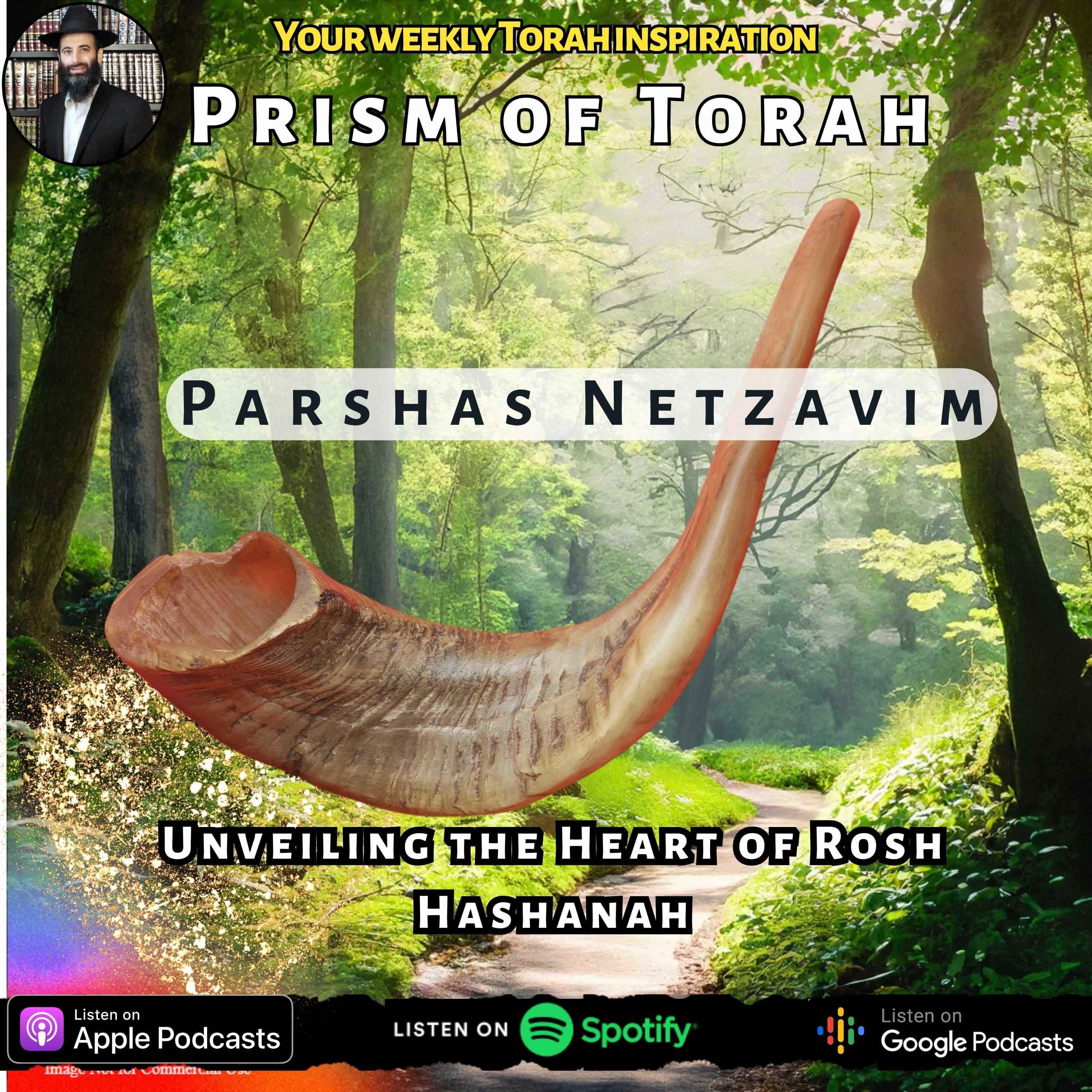 cover art for Parshas Netzavim Unveiling the Heart of Rosh Hashanah