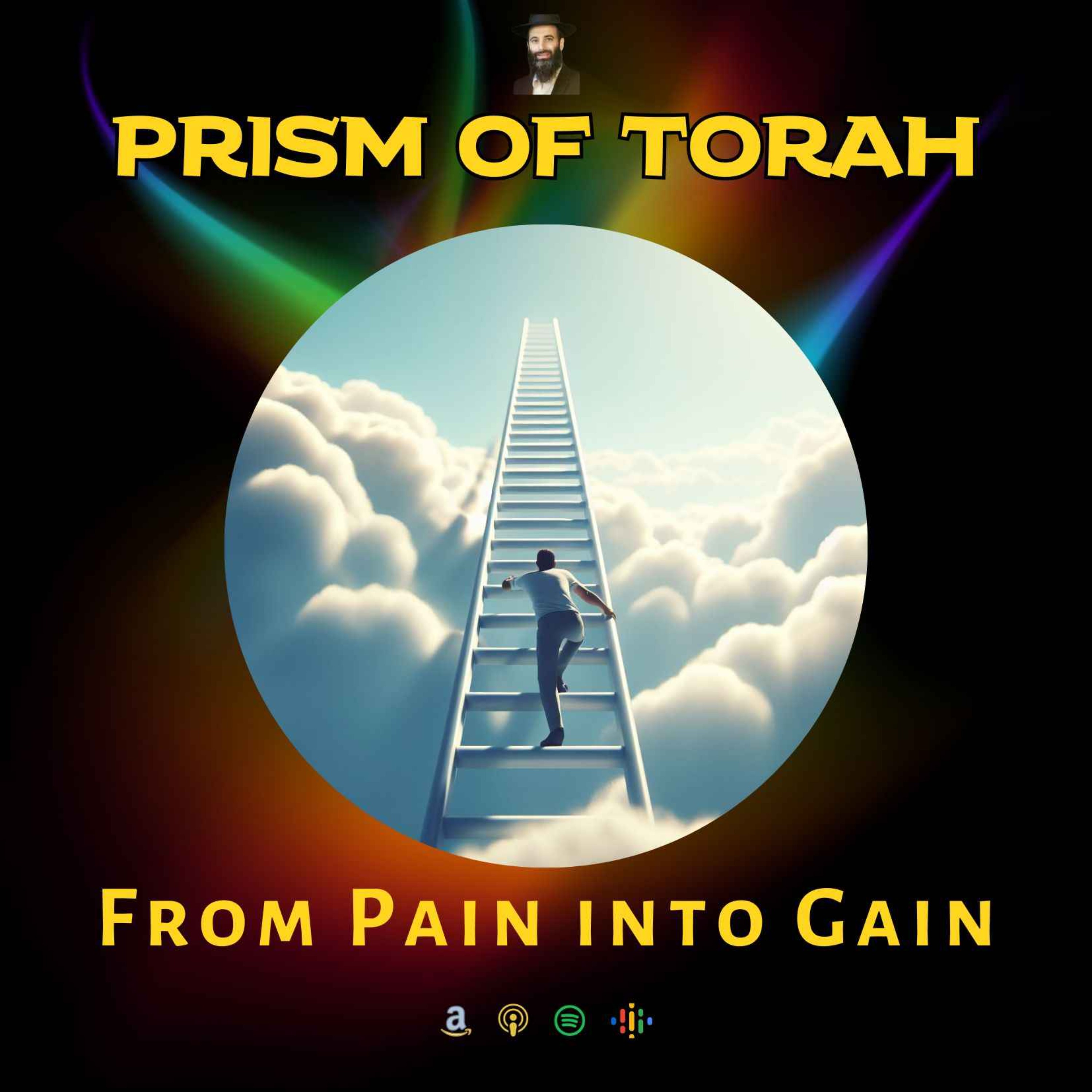 Parshas Chayee Soroh- From Pain into Gain episode artwork
