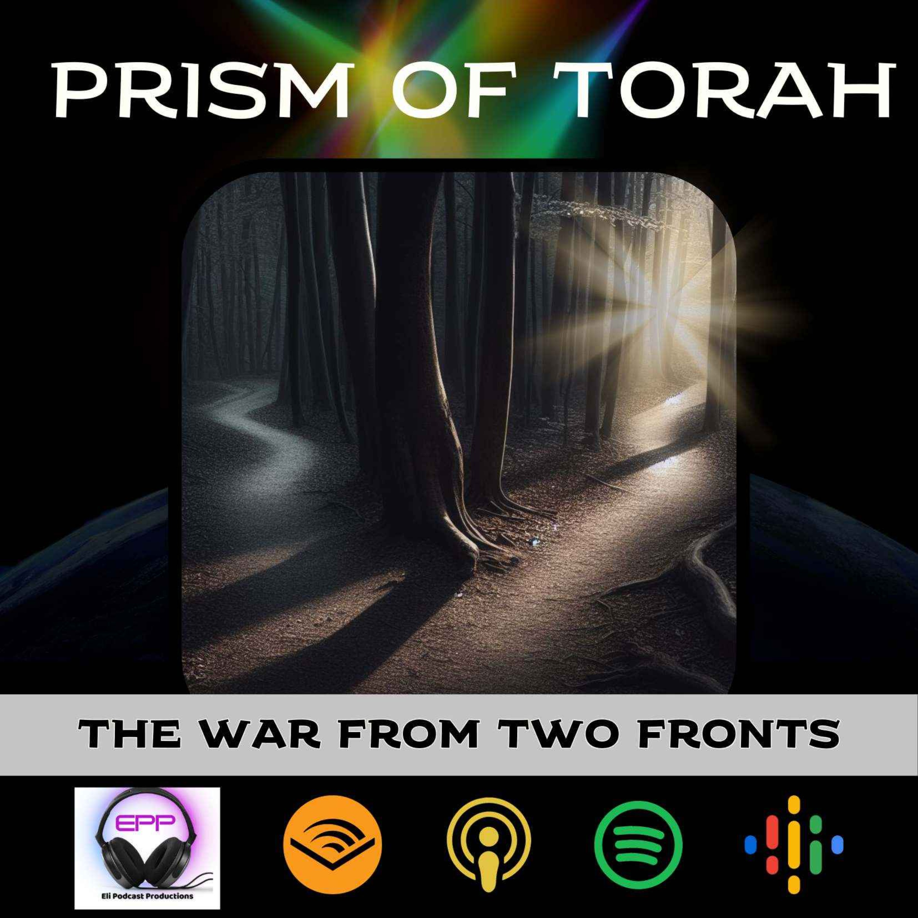 Parshas Vayishlach: The War from Two Fronts episode artwork