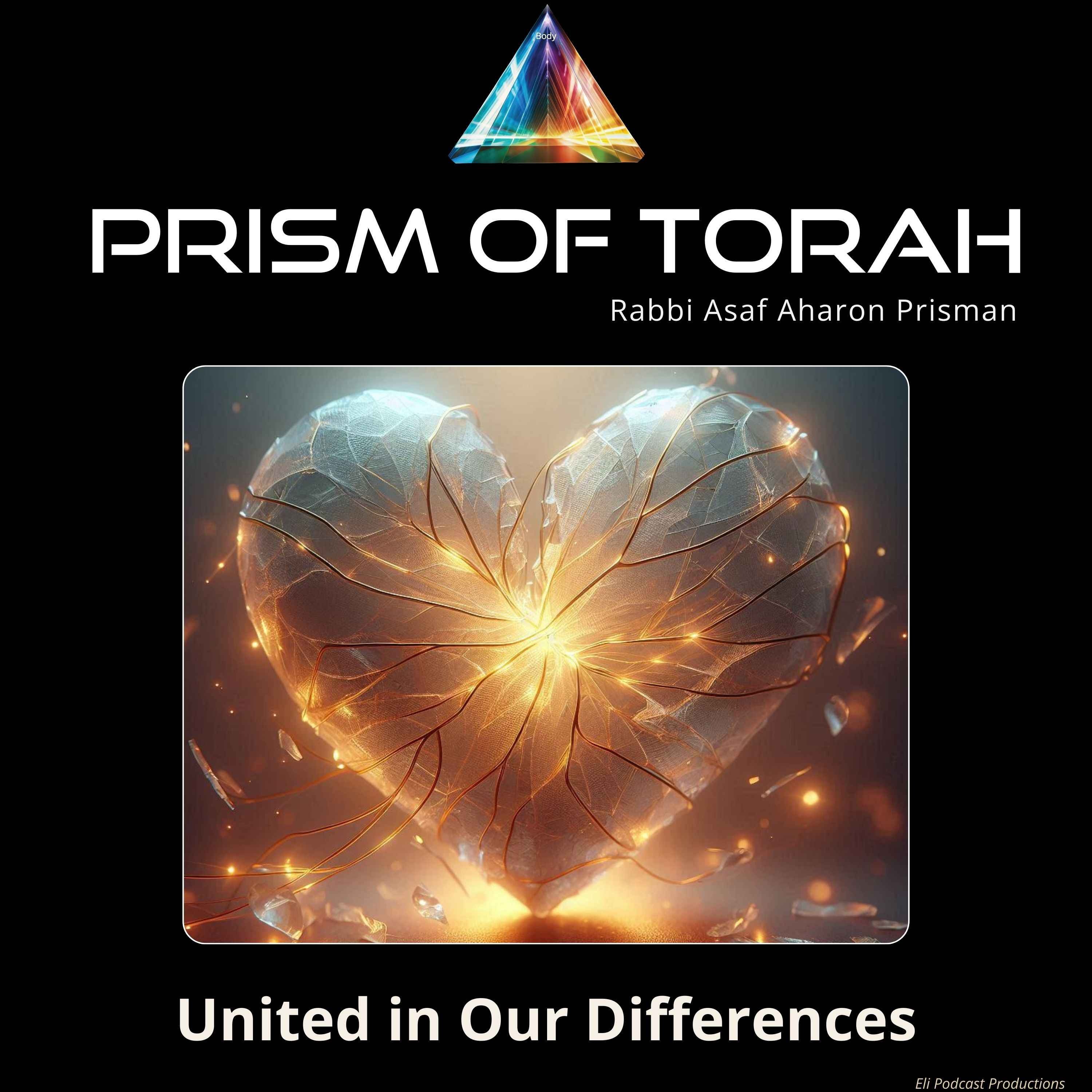 Yom Kippur- United in Our Differences episode artwork
