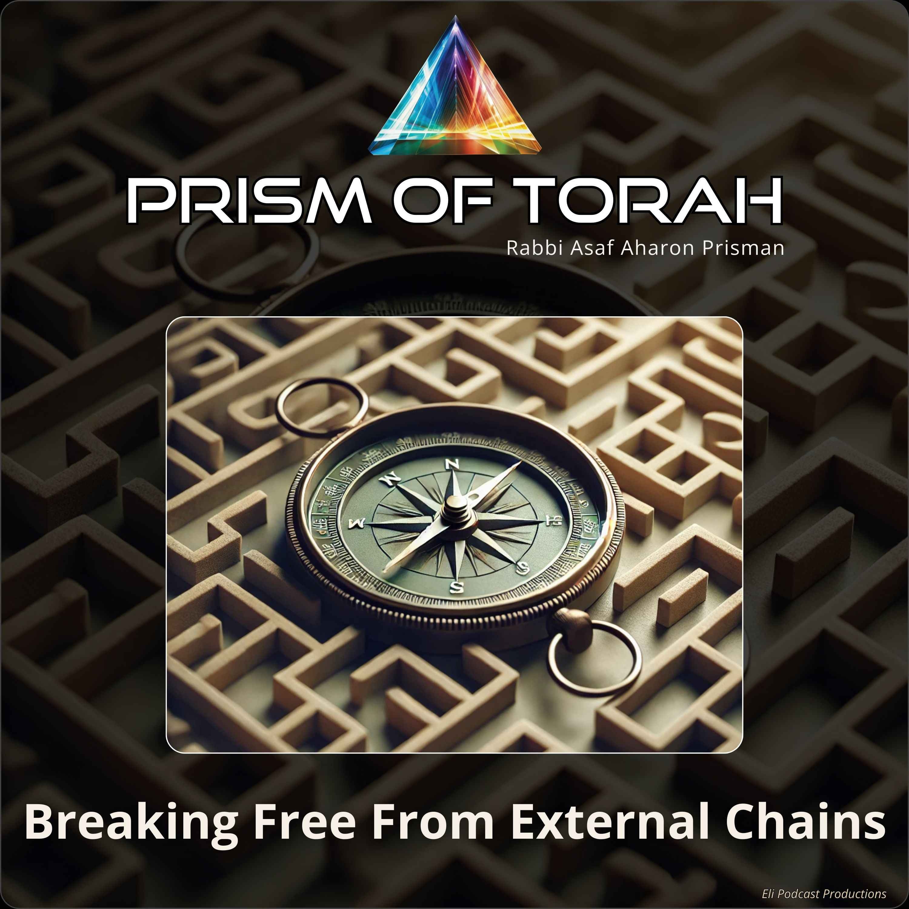 Parshas Vayigash - Breaking Free From External Chains episode artwork