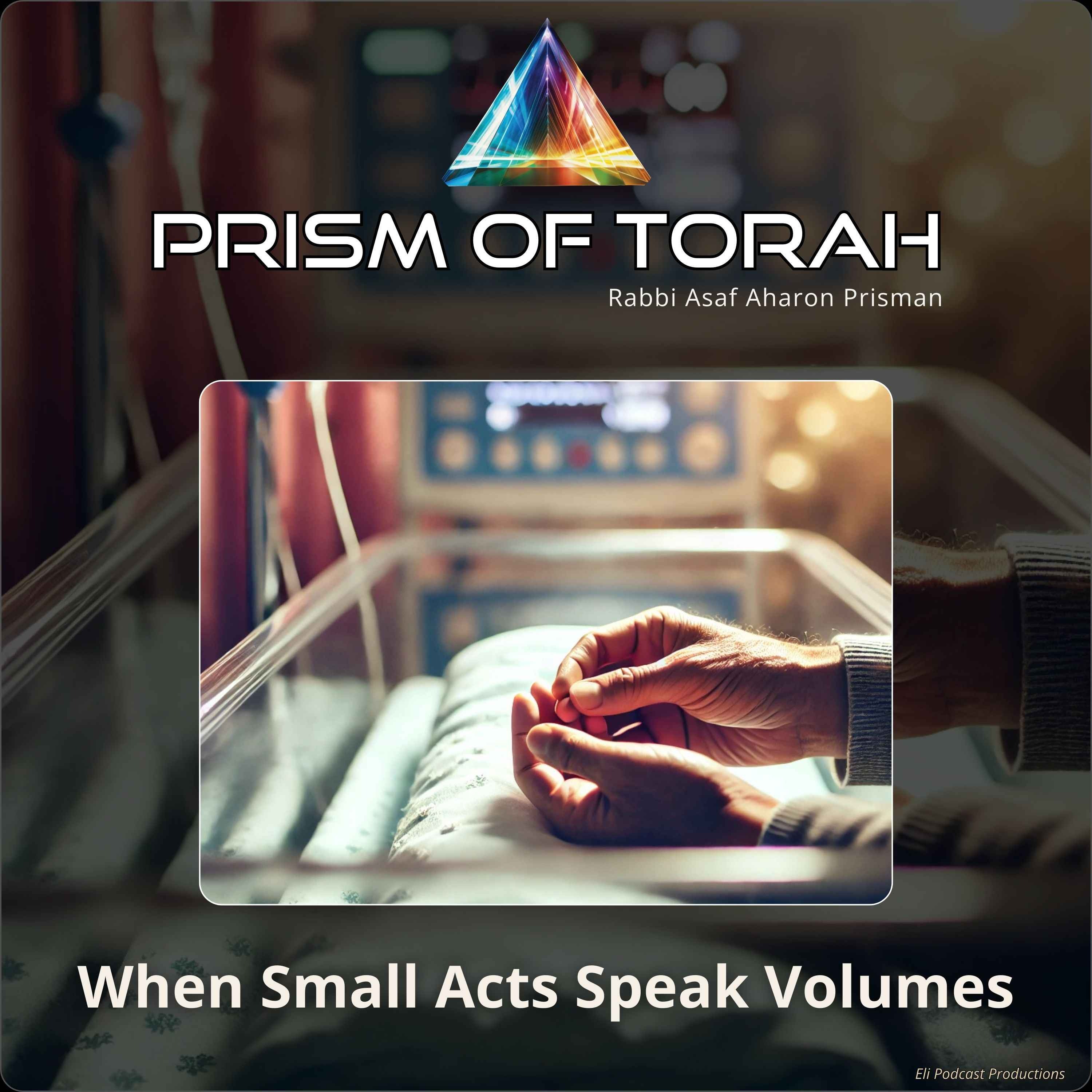 Archive Prism of Torah