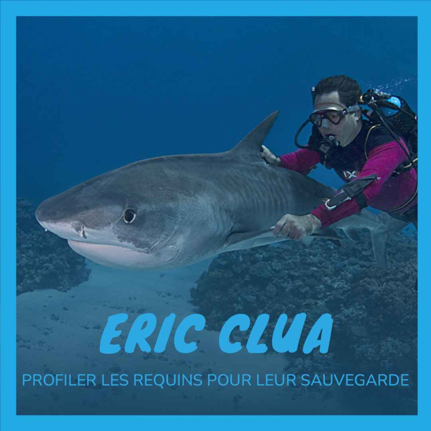 Les Plongeurs Padawan, le podcast de la plongée sous-marine