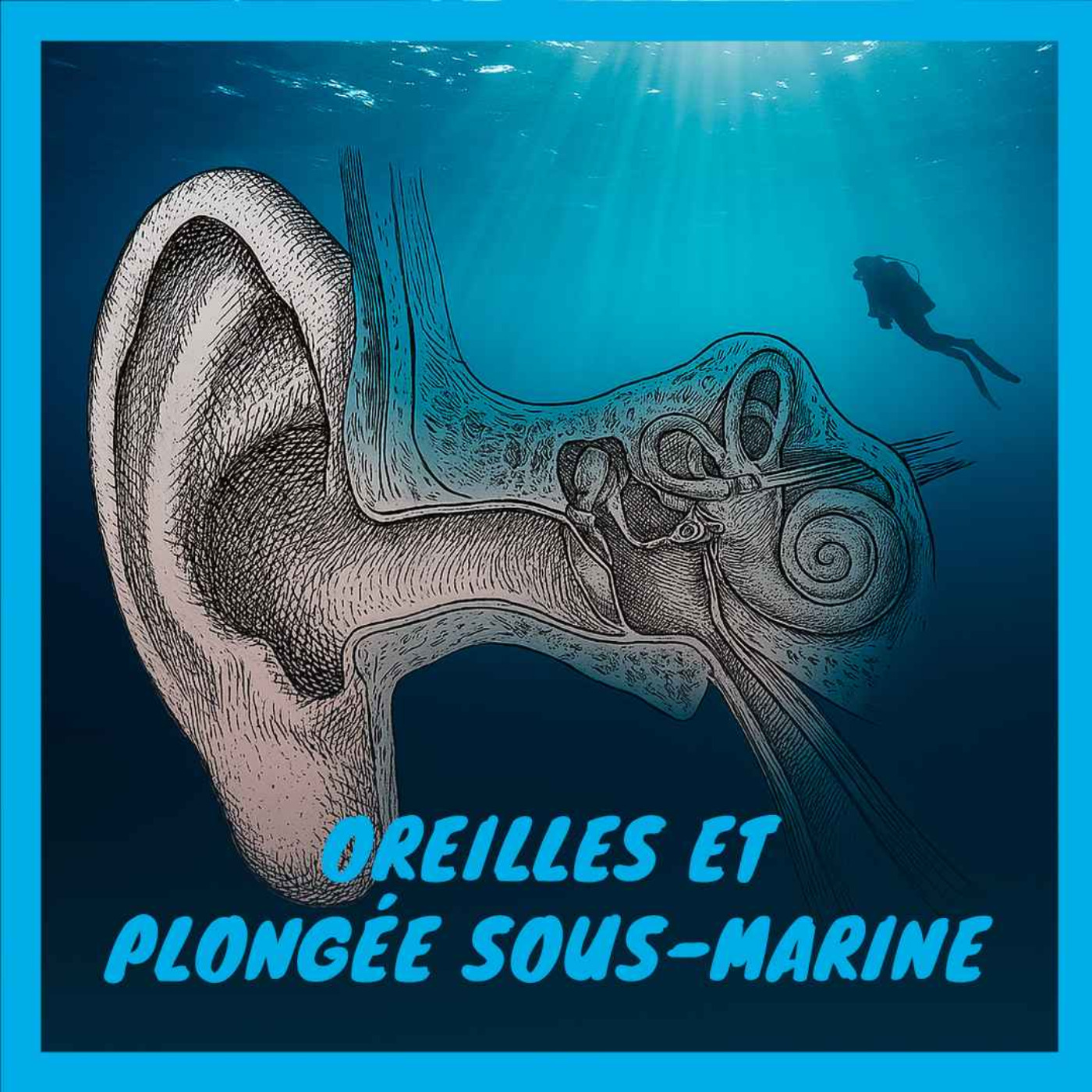Les Plongeurs Padawan, le podcast de la plongée sous-marine
