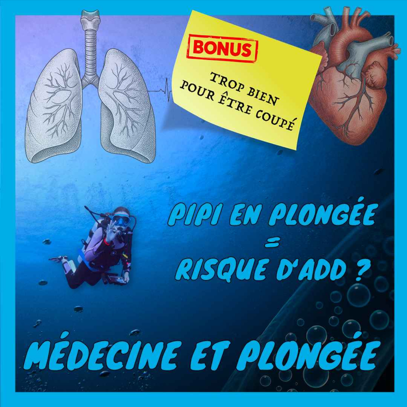 [Médecine et plongée] Pourquoi l'hydratation est votre meilleure arme contre l'ADD