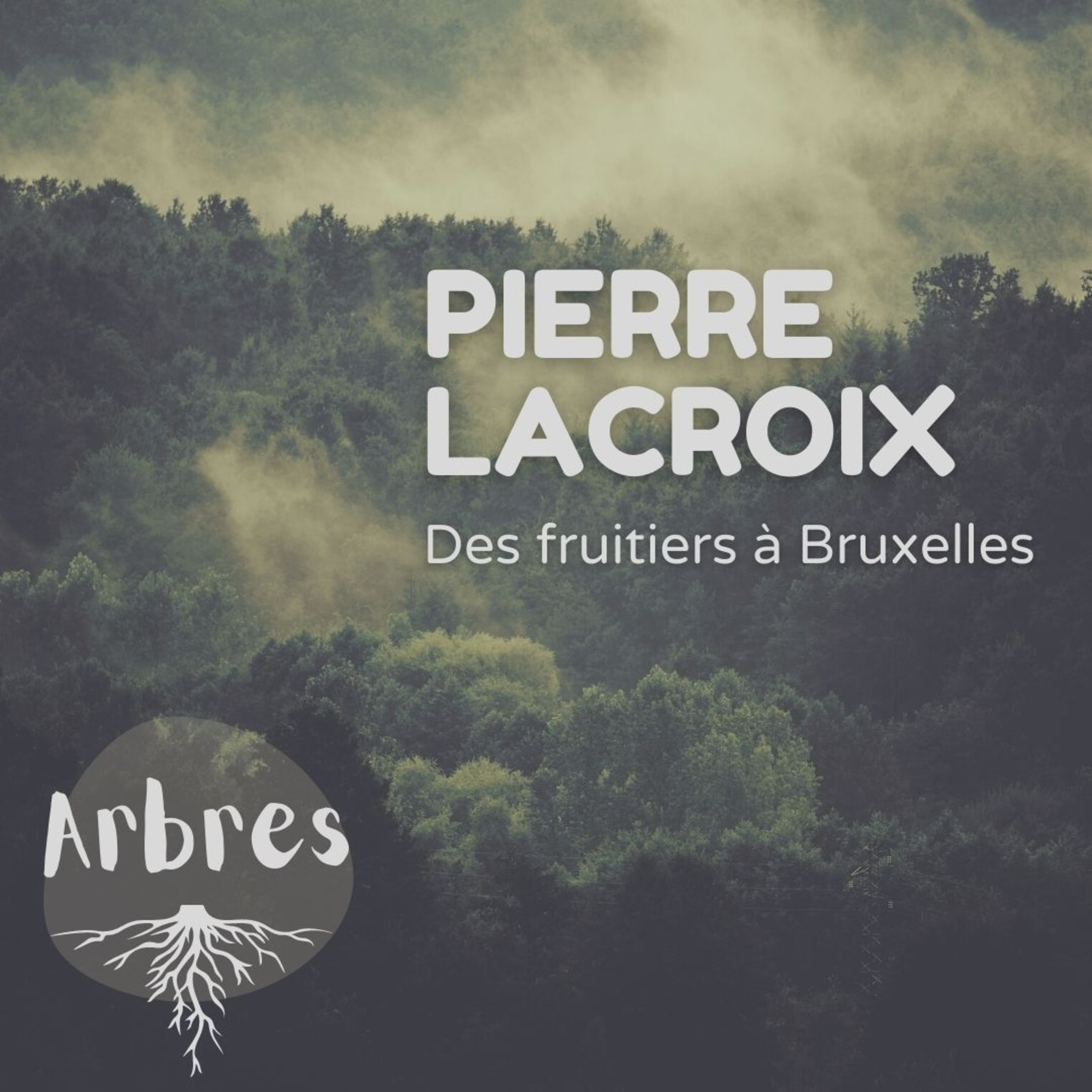 cover art for Pierre Lacroix - Des fruitiers à Bruxelles