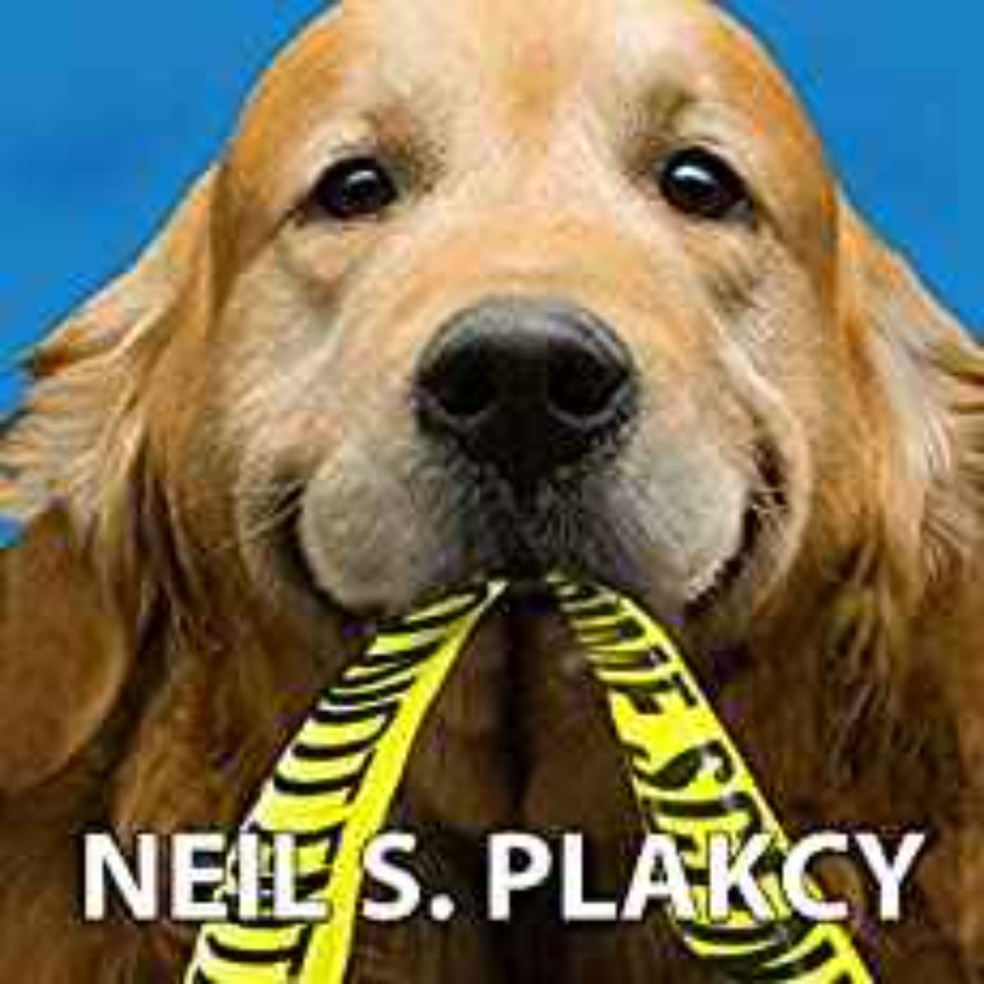 cover art for Neil S. Plakcy - In Dog We Trust (Cozy Dog Mystery): #1 in the Golden Retriever Mystery Series