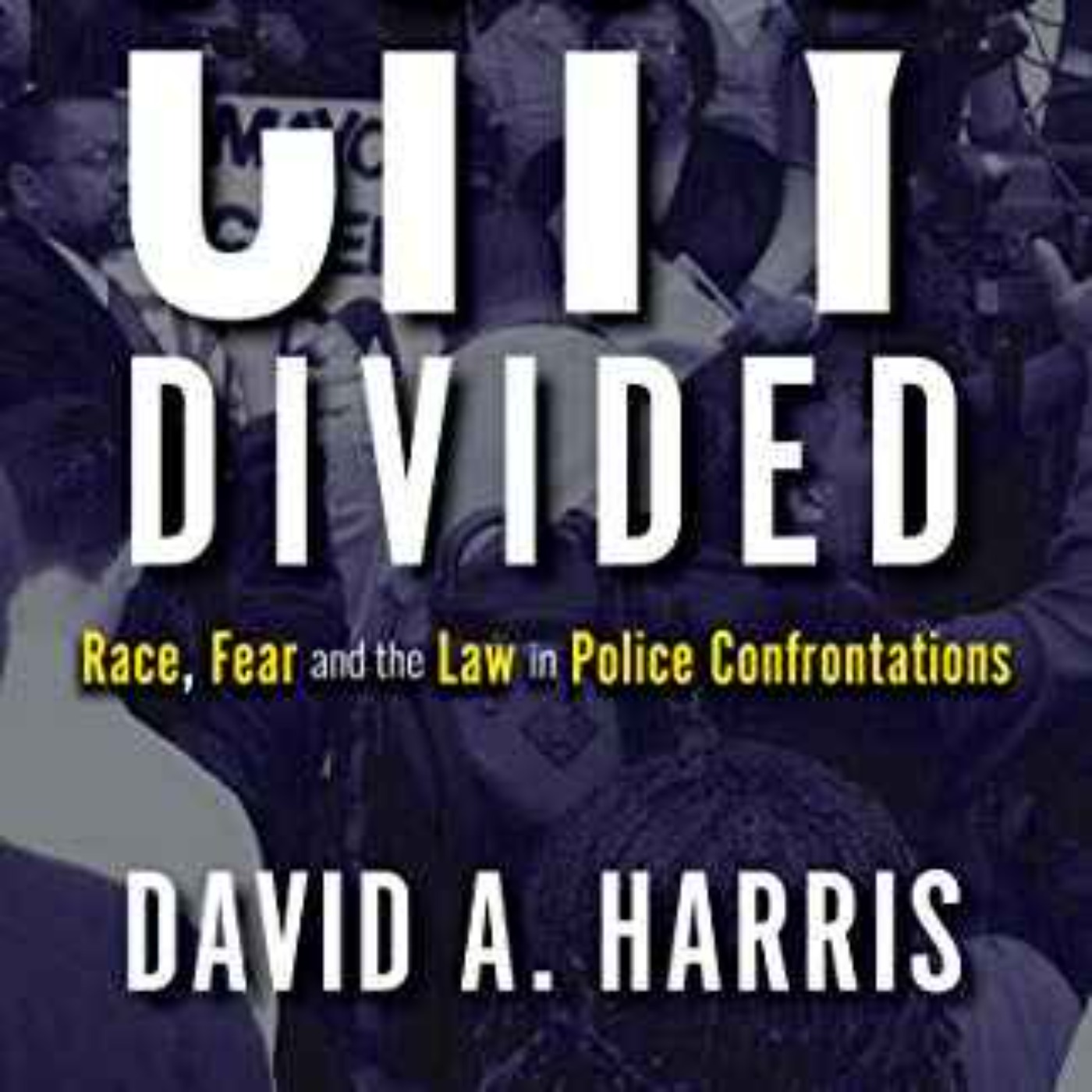 David A. Harris - A City Divided 