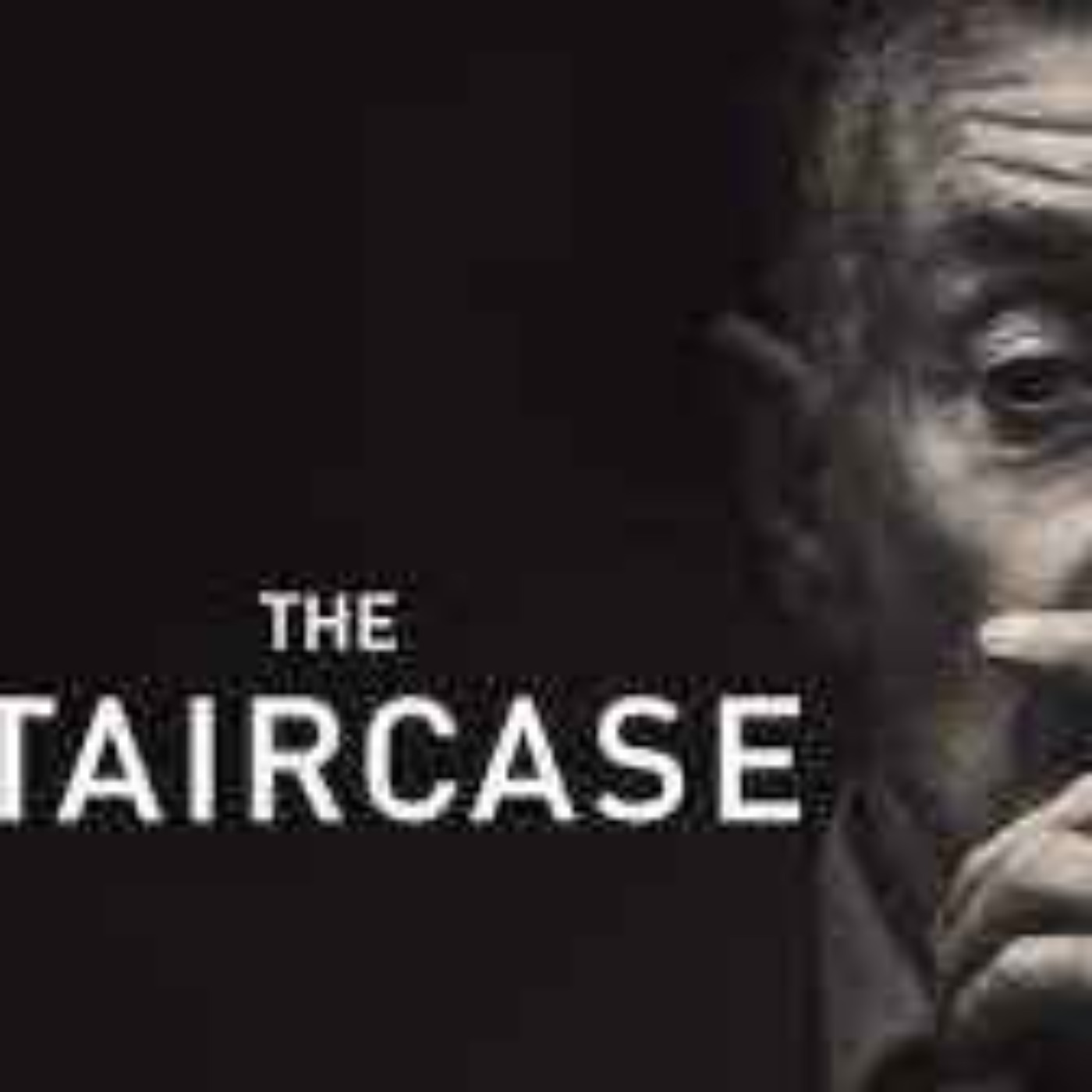 David Rudolf - Netflix' The Staircase