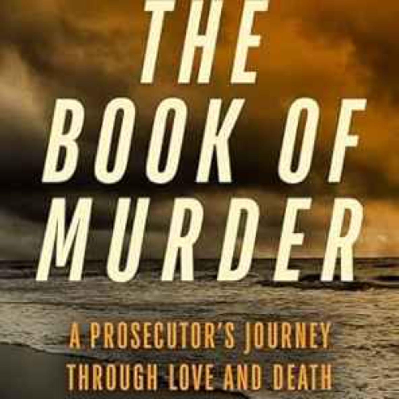 Matt Murphy - The Book of Murder