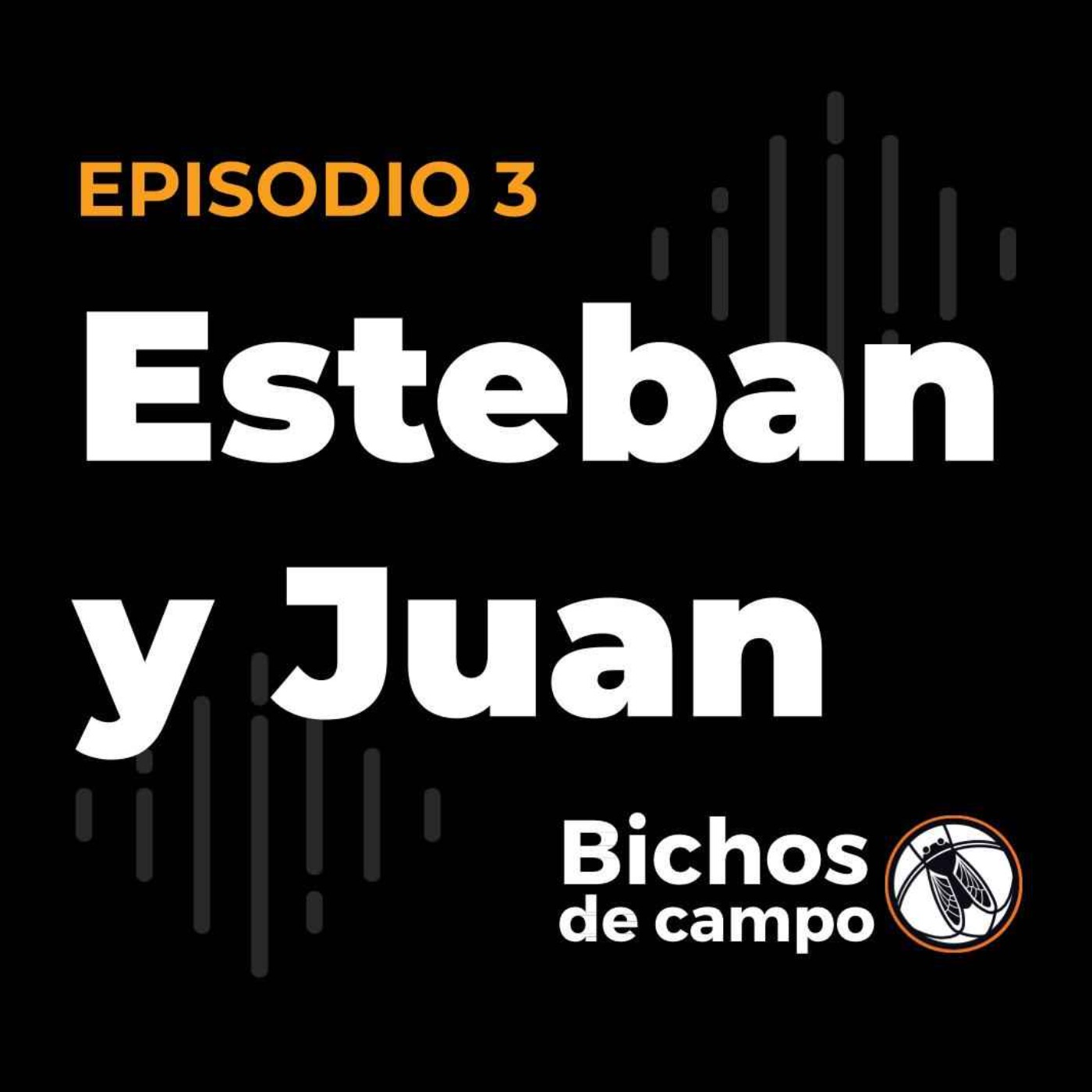Todos Somos Bichos de Campo