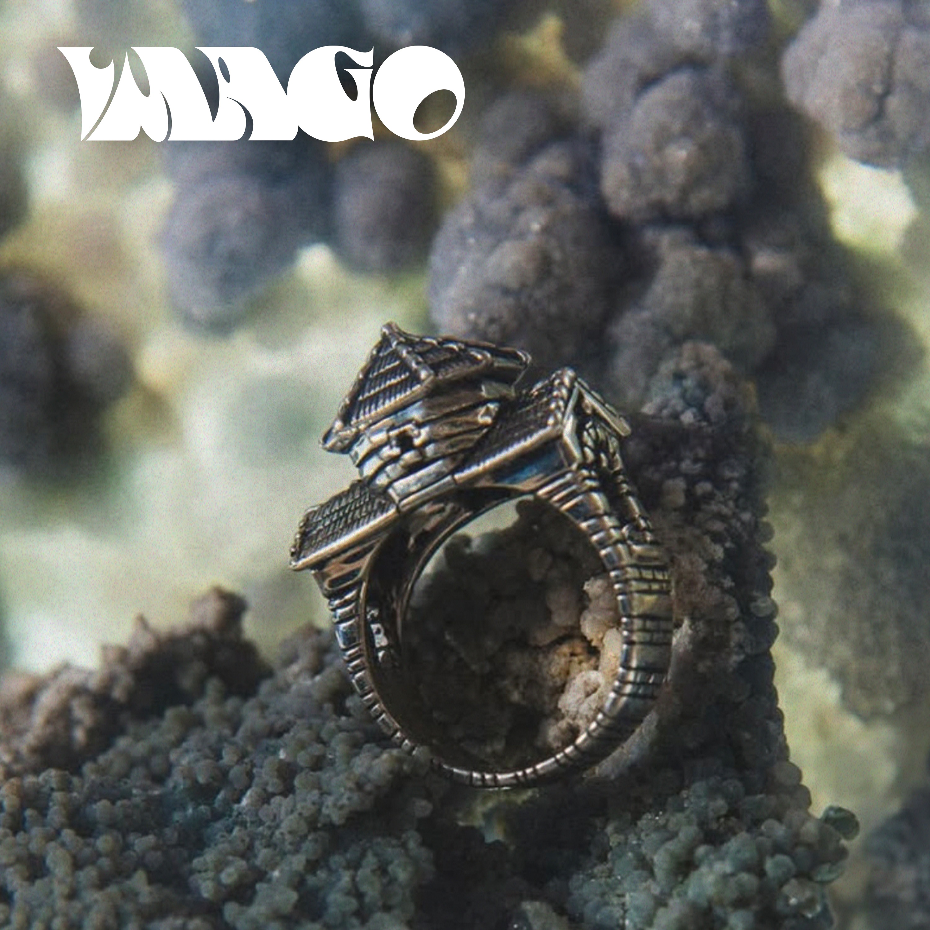 IMAGO