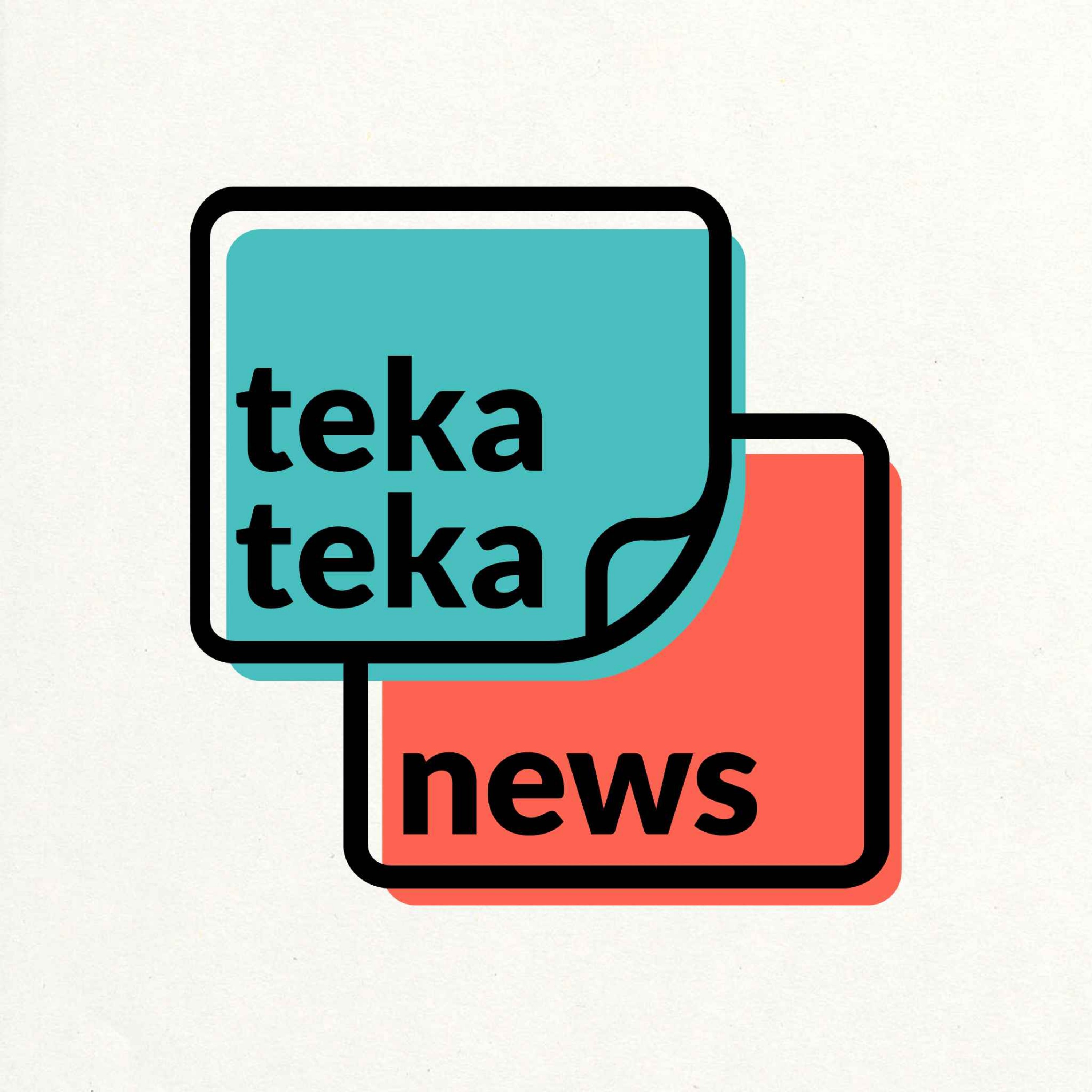 cover art for Caring for stray cats | Teka Teka News