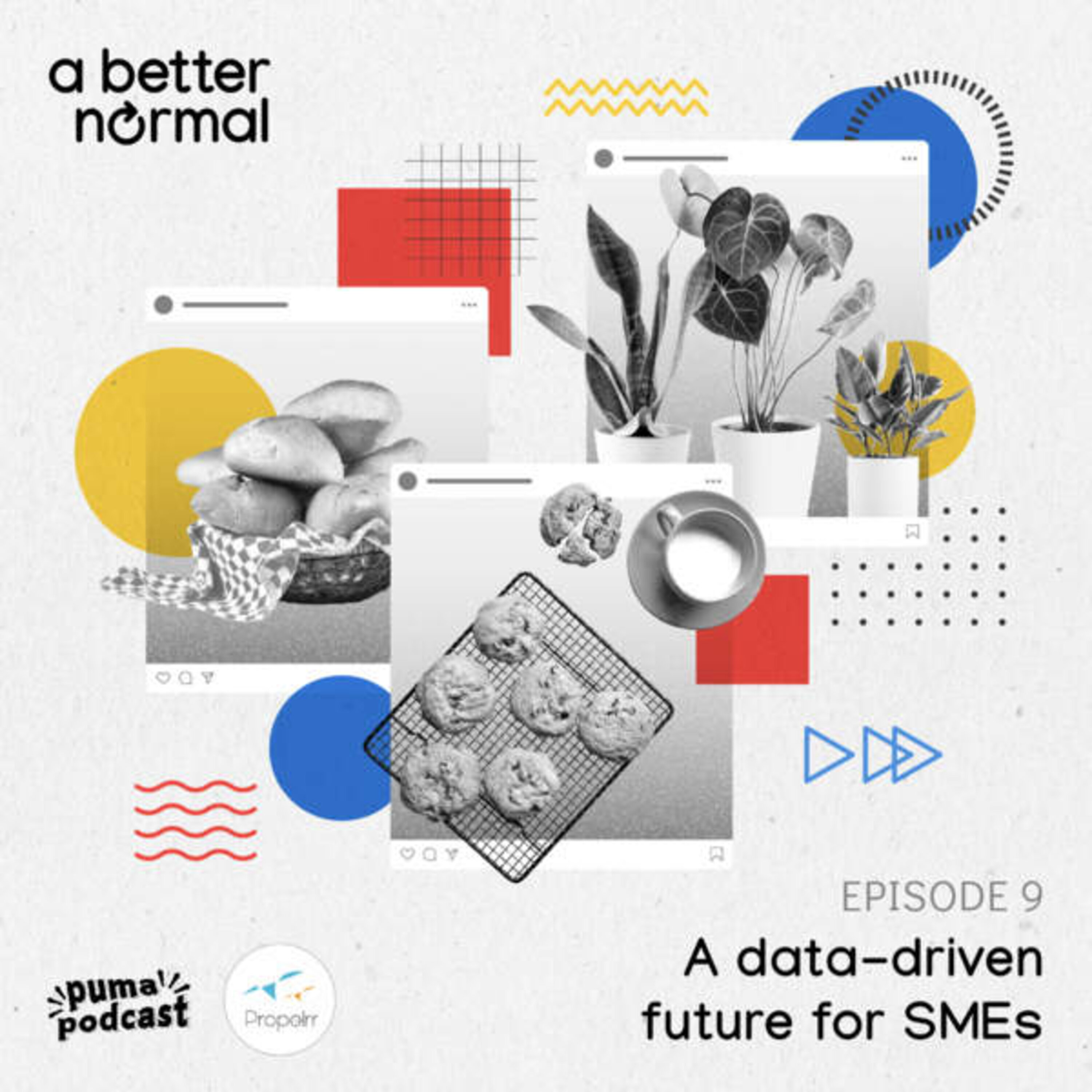 How SMEs can use data to their advantage | A Better Normal episode artwork