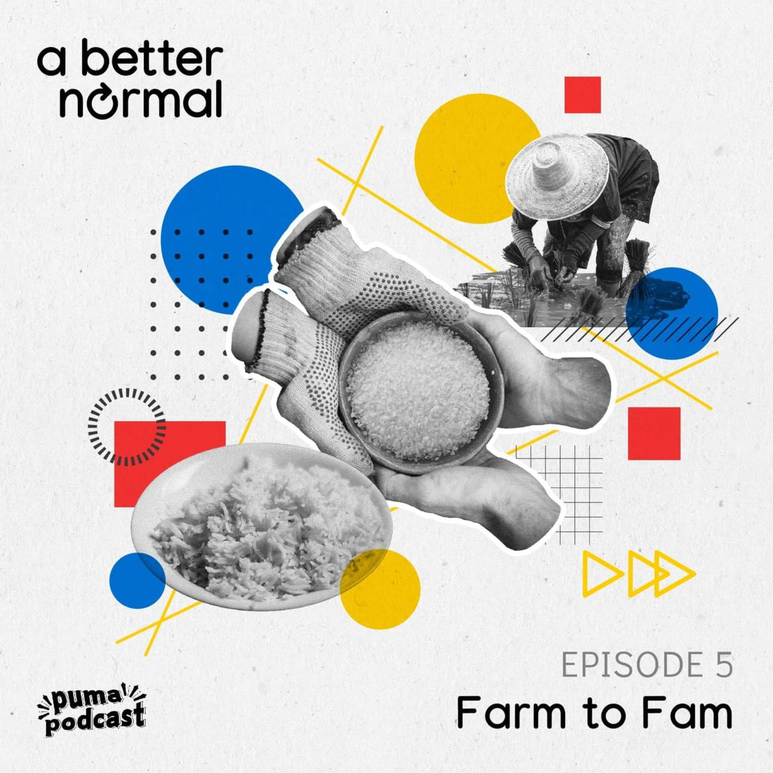 A Better Normal, Episode 5: Farm to Fam - strengthening the bonds between our food growers and the communities they feed episode artwork