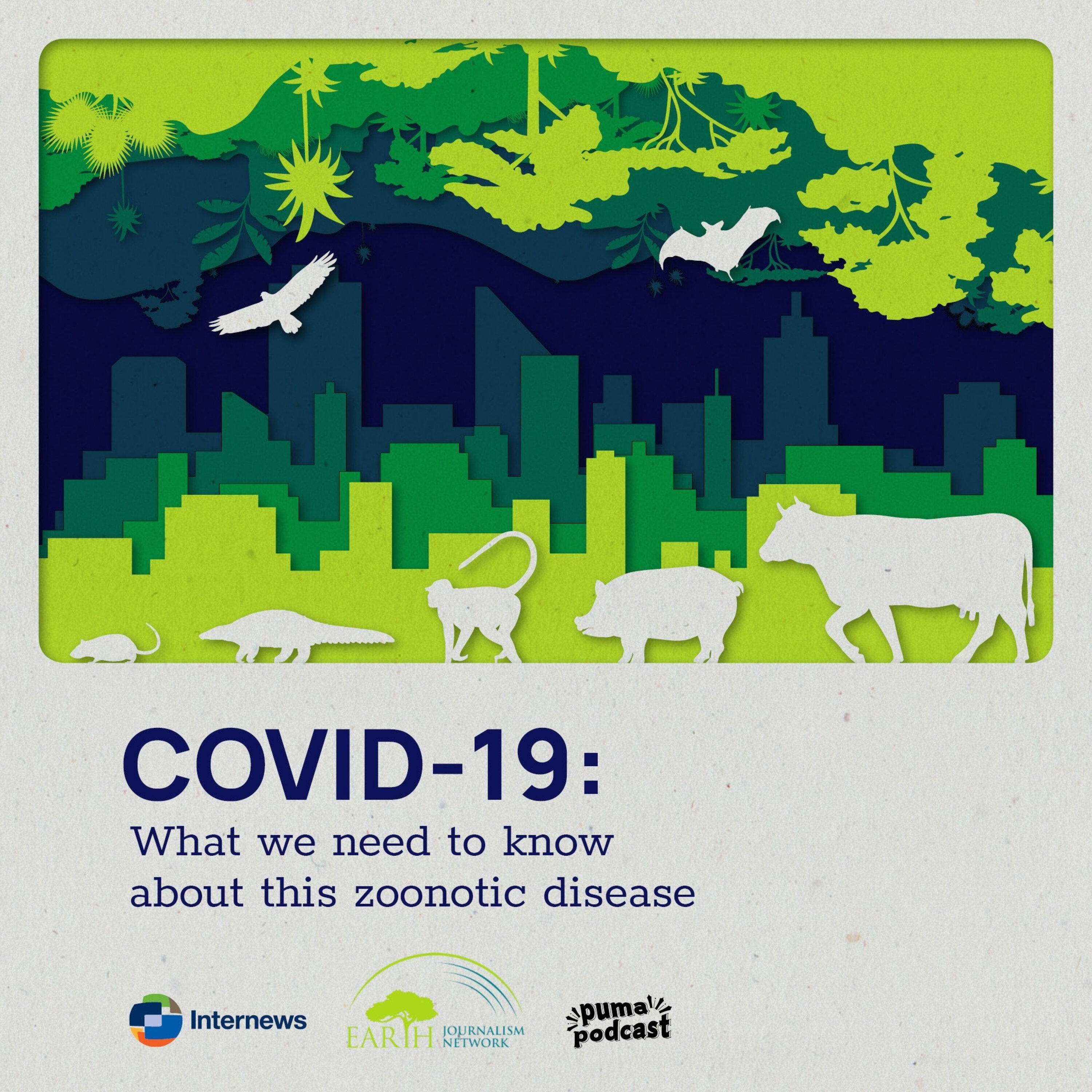 COVID-19: What we need to know about this zoonotic disease episode artwork