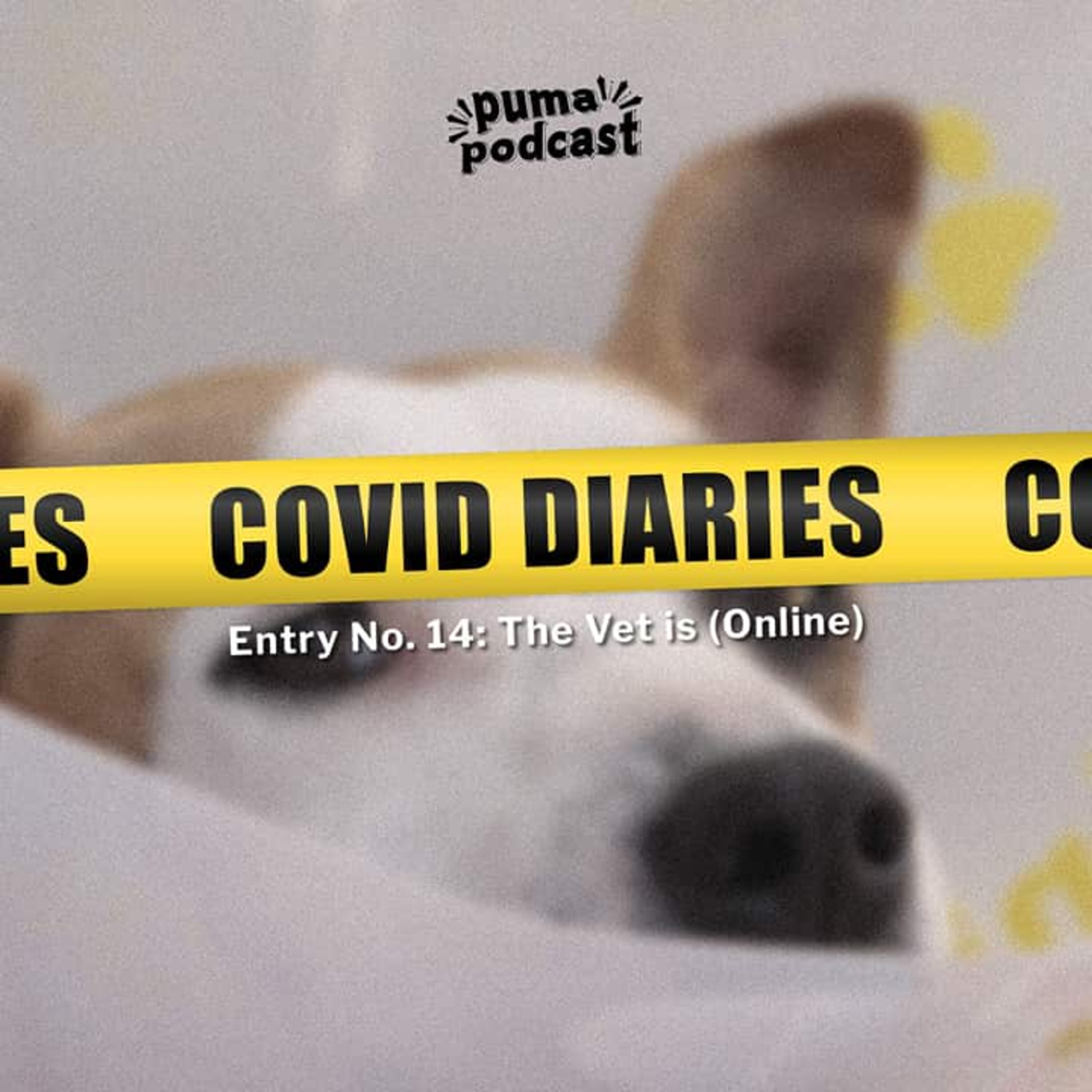 COVID Quarantine Diaries, Entry No. 14: The Vet is (Online) episode artwork