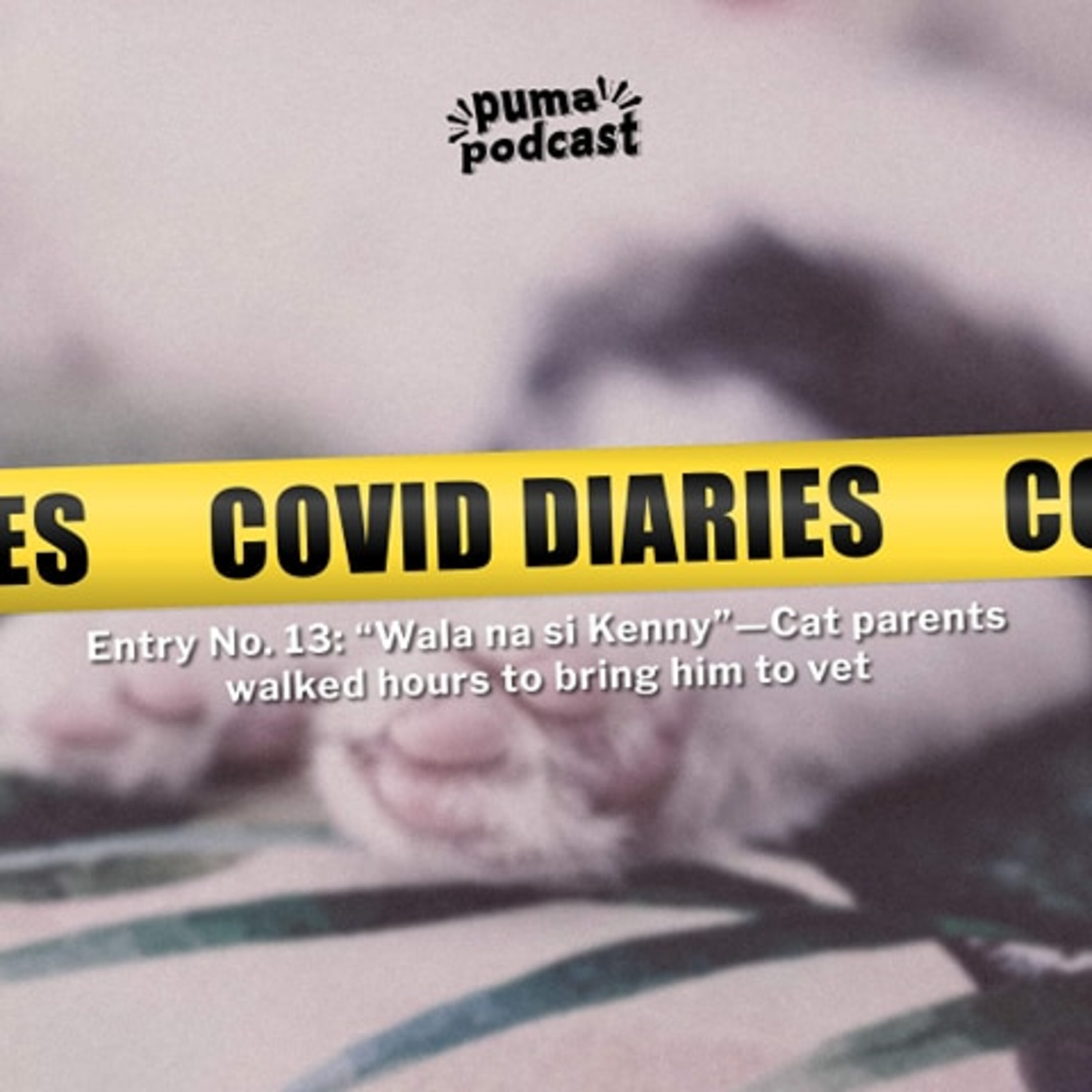 COVID Quarantine Diaries, Entry No. 13: 'Wala na si Kenny' - Cat parents walked hours to bring him to vet episode artwork