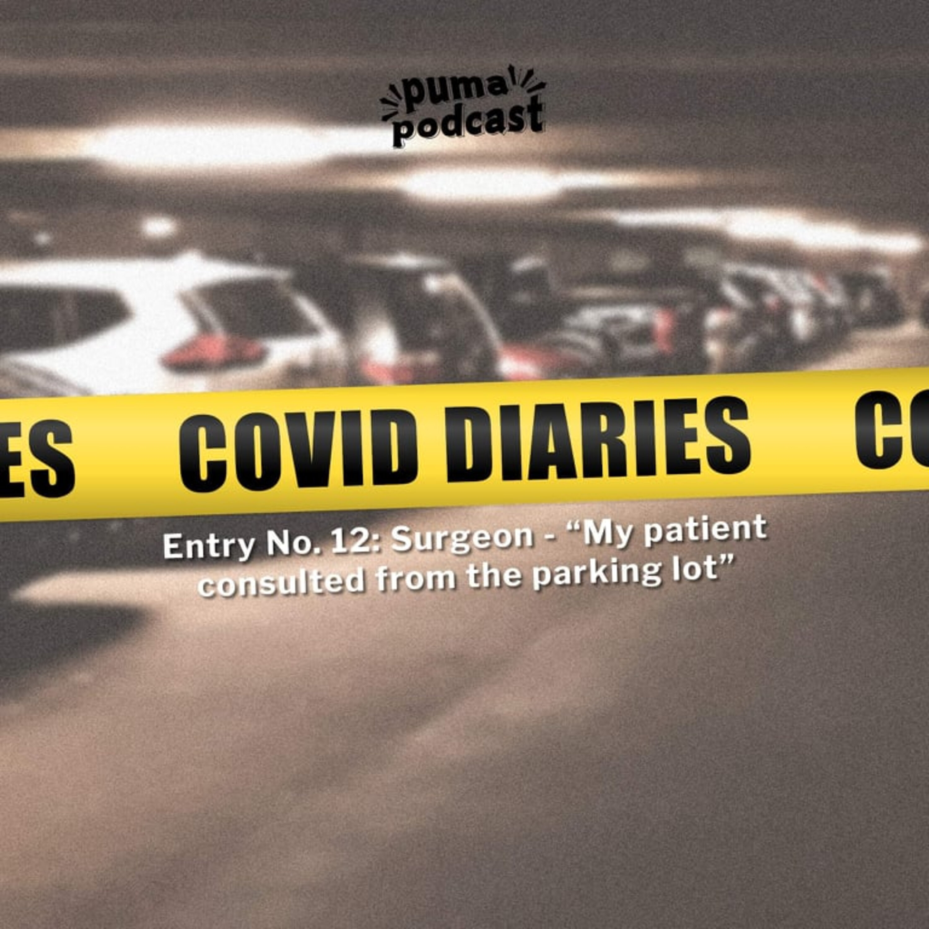 COVID Quarantine Diaries, Entry No. 12: Surgeon - 'My patient consulted from the parking lot' episode artwork