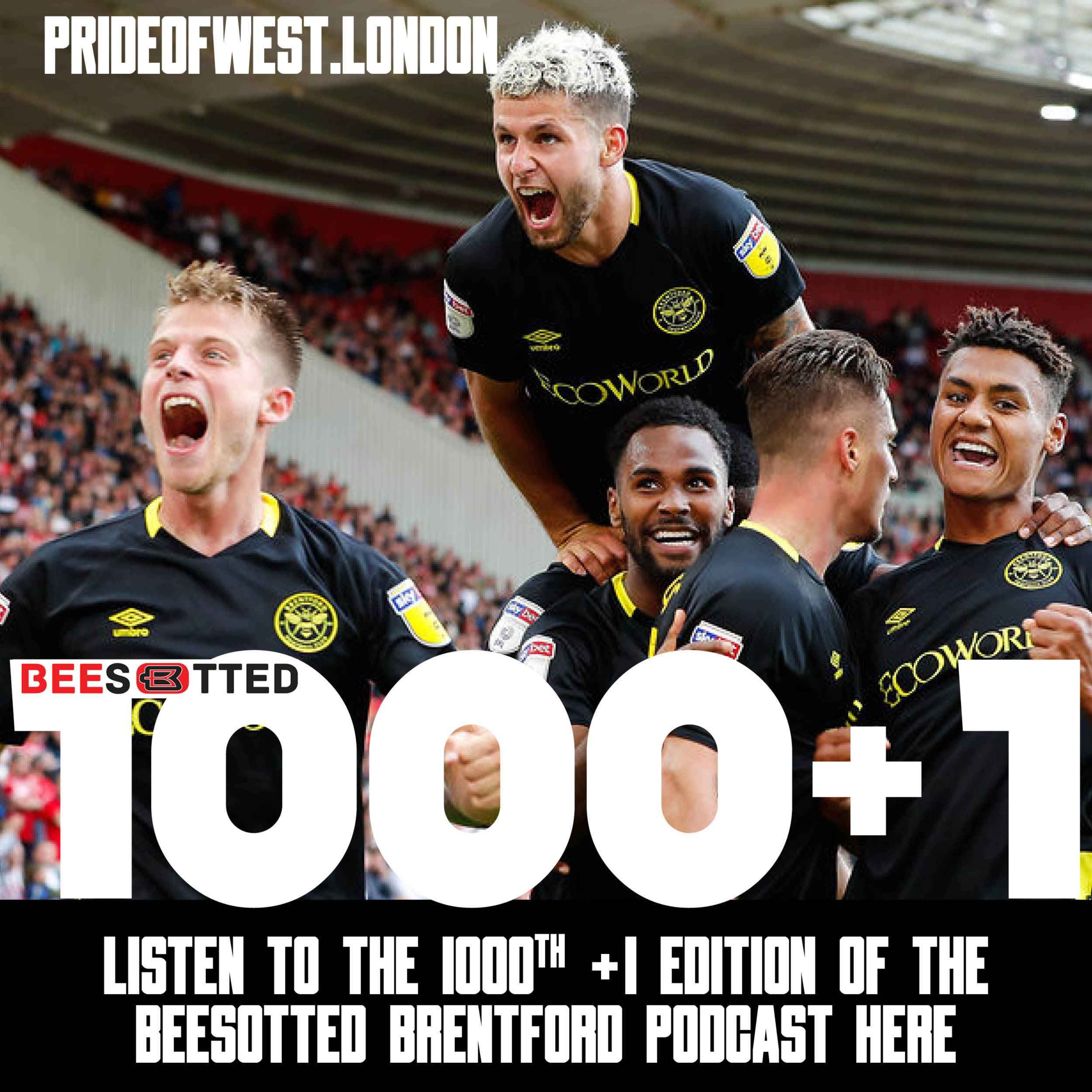 Beesotted1000+1 - Pandemic, Promotion and The Premier League in 1000+1 Episodes