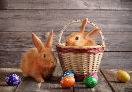 389: Beesotted Easter Bunnies Pre Sheffield United and Bristol City Podcast