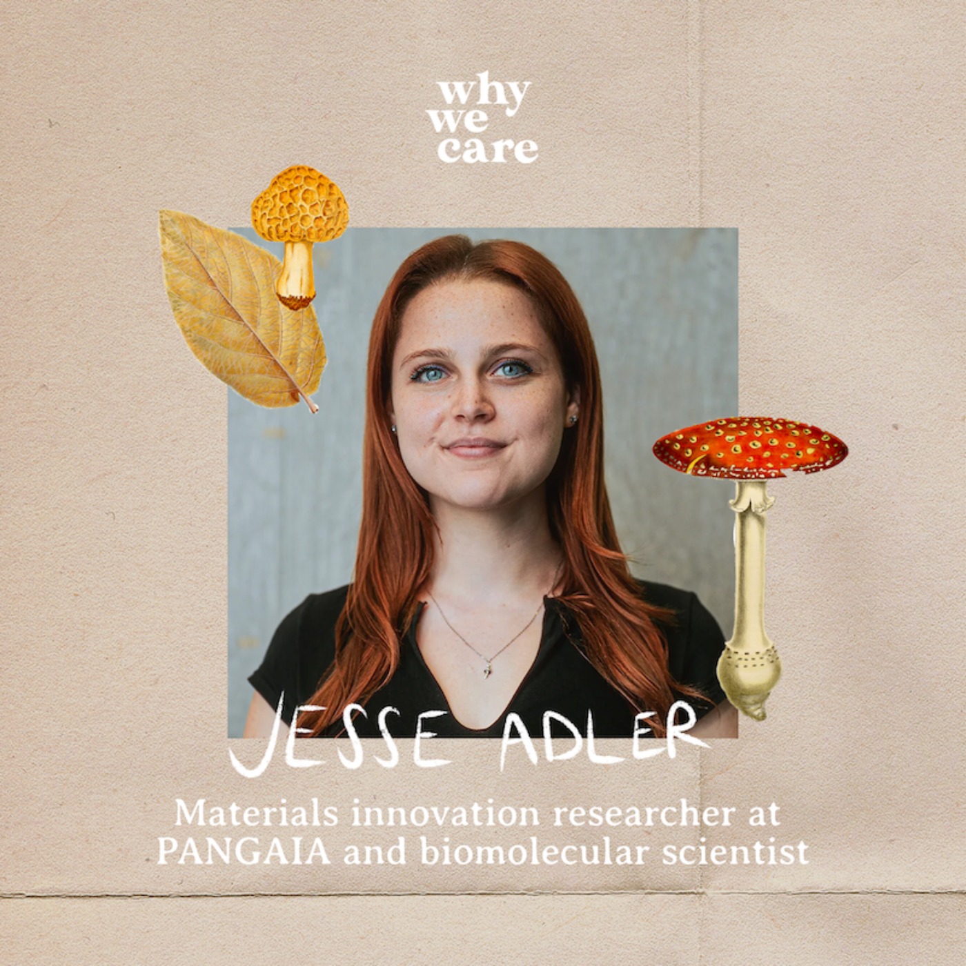 Why We Care