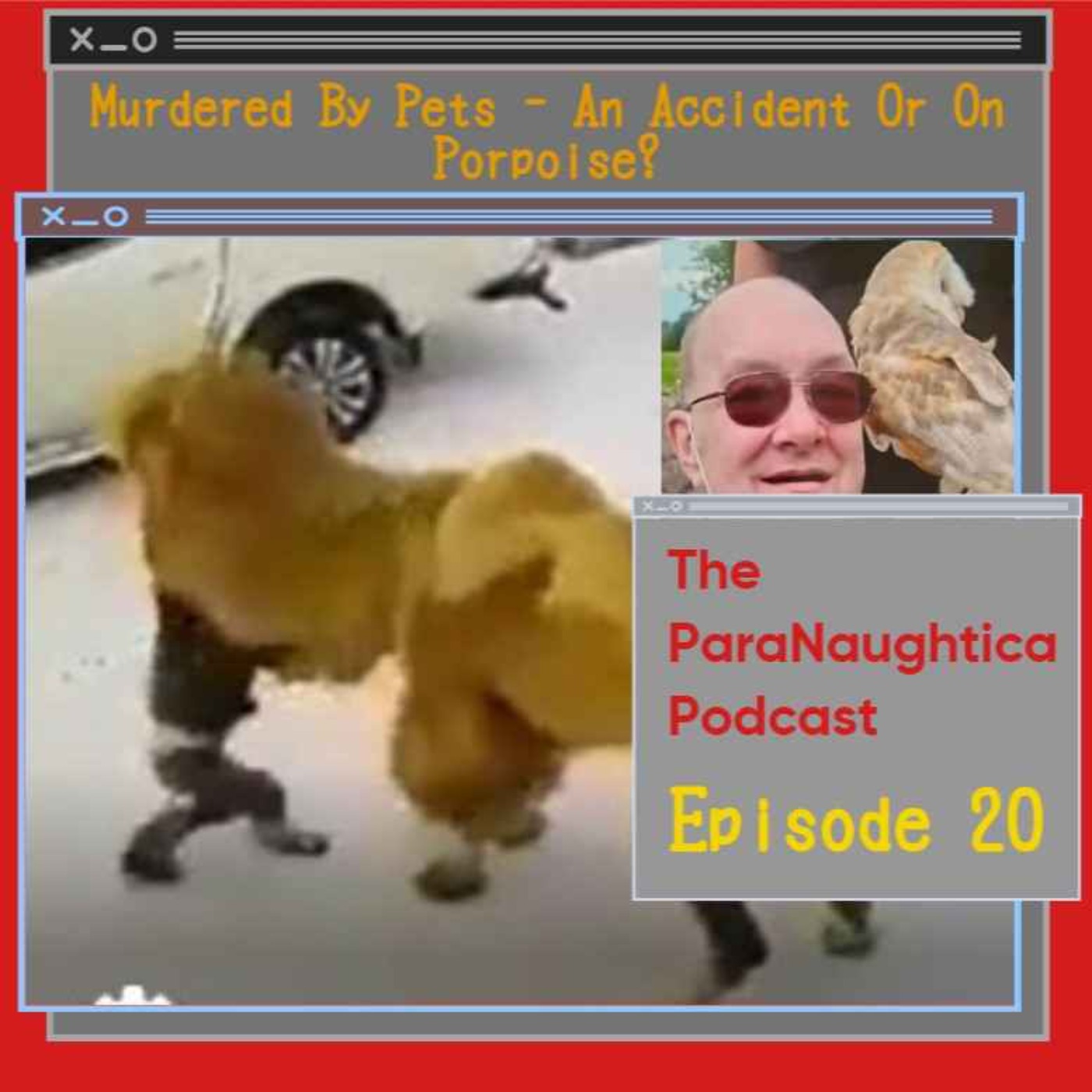 The ParaNaughtica Podcast