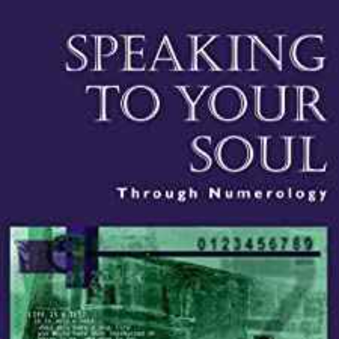 Alison Baughman  - Speaking to Your Soul: Through Numerology