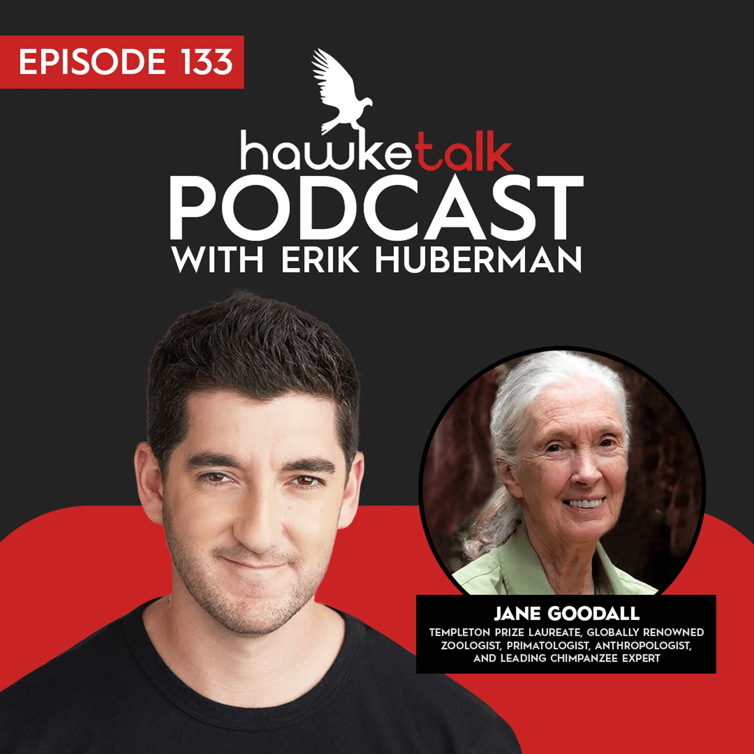HawkeTalk