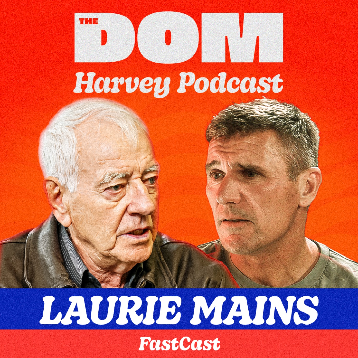 Laurie Mains On His Rassie Erasmus Feud - And The '95 RWC Poisoning episode artwork