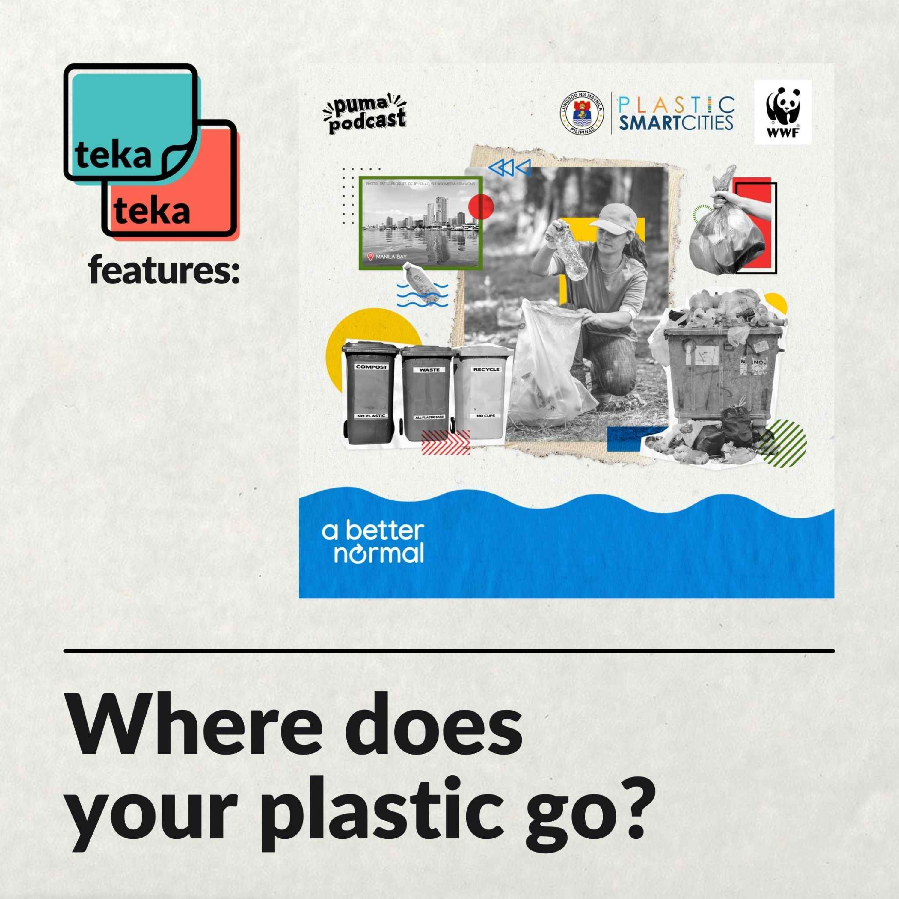 cover art for Where does your plastic go?