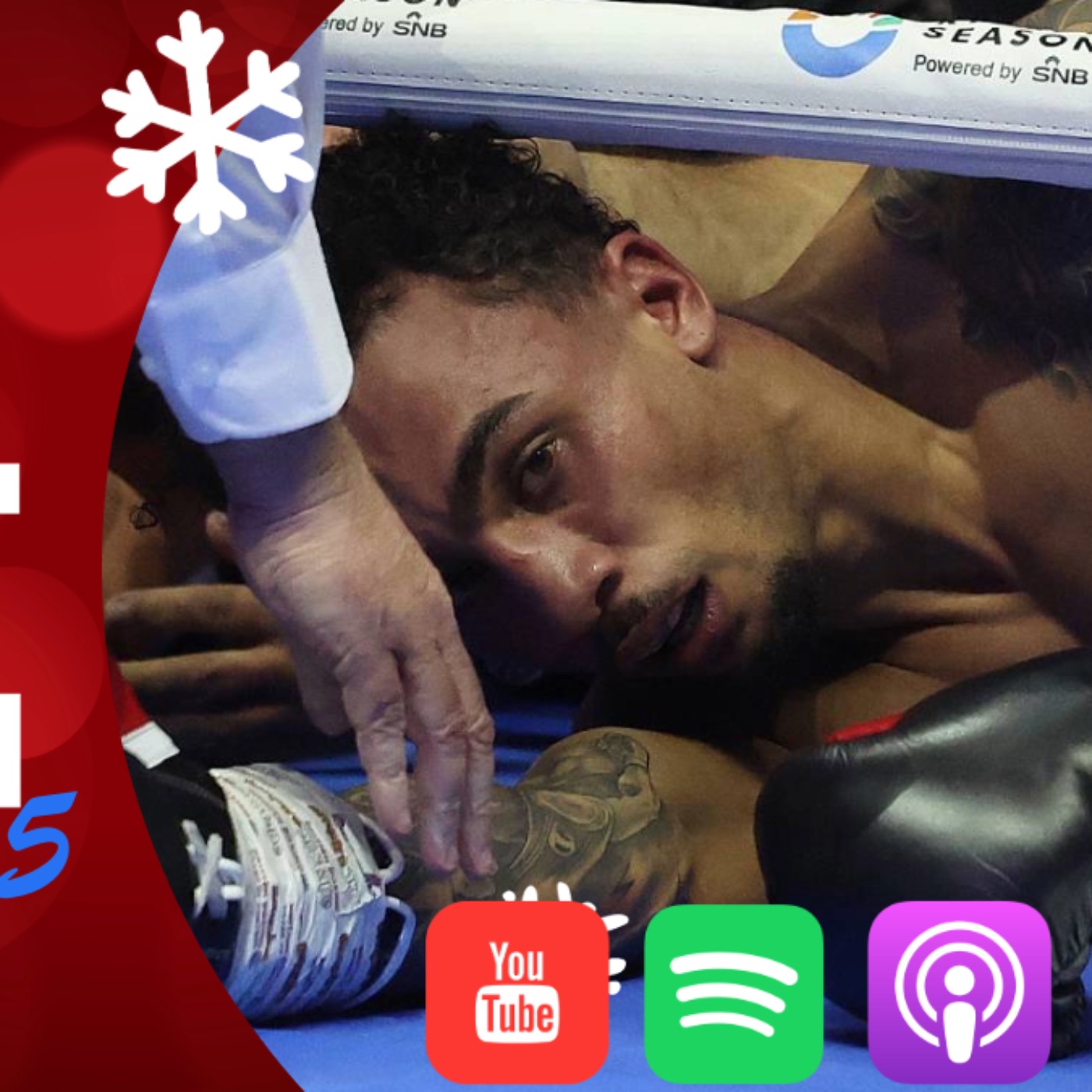 The Fight Rundown