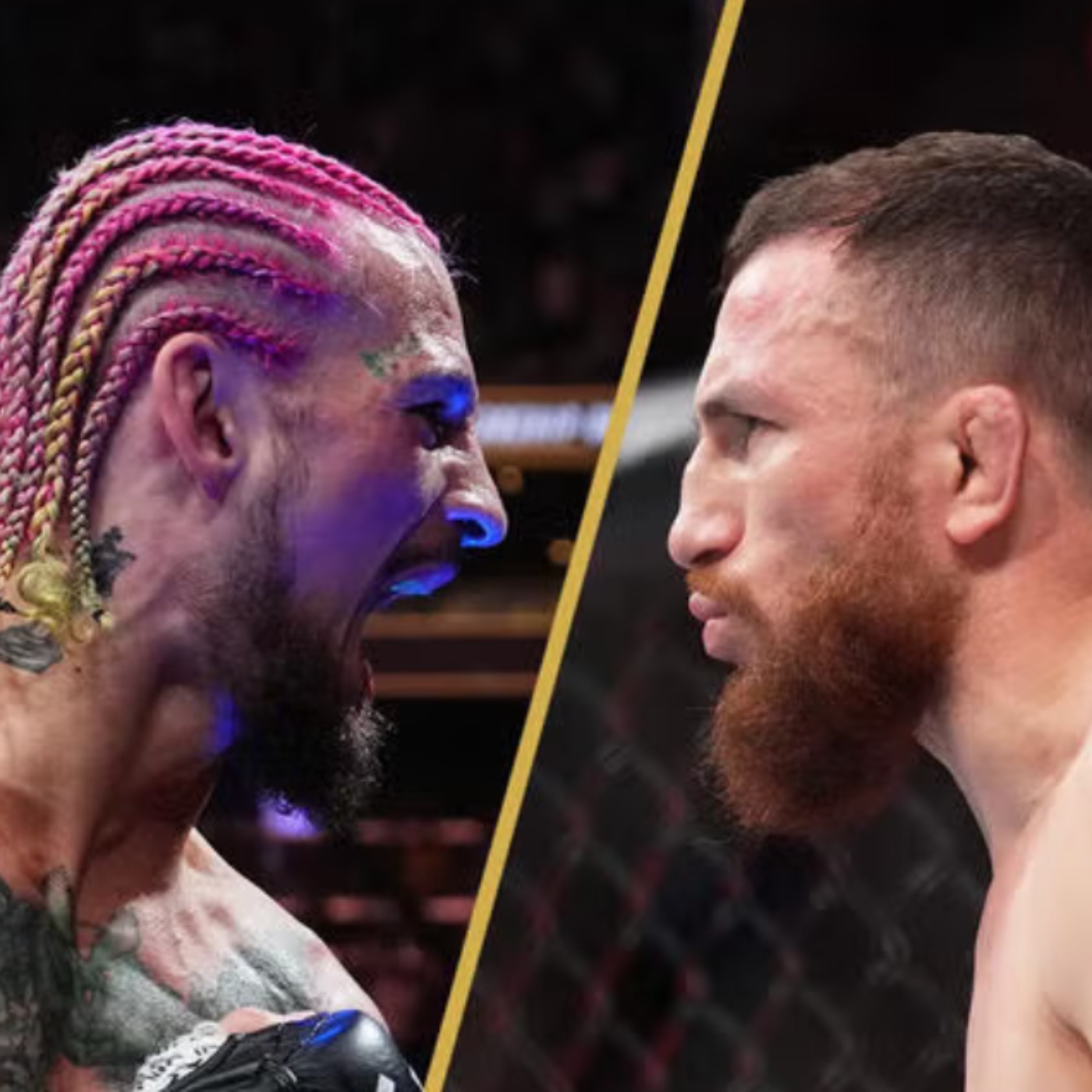 EP.269 - UFC 316 PREVIEW