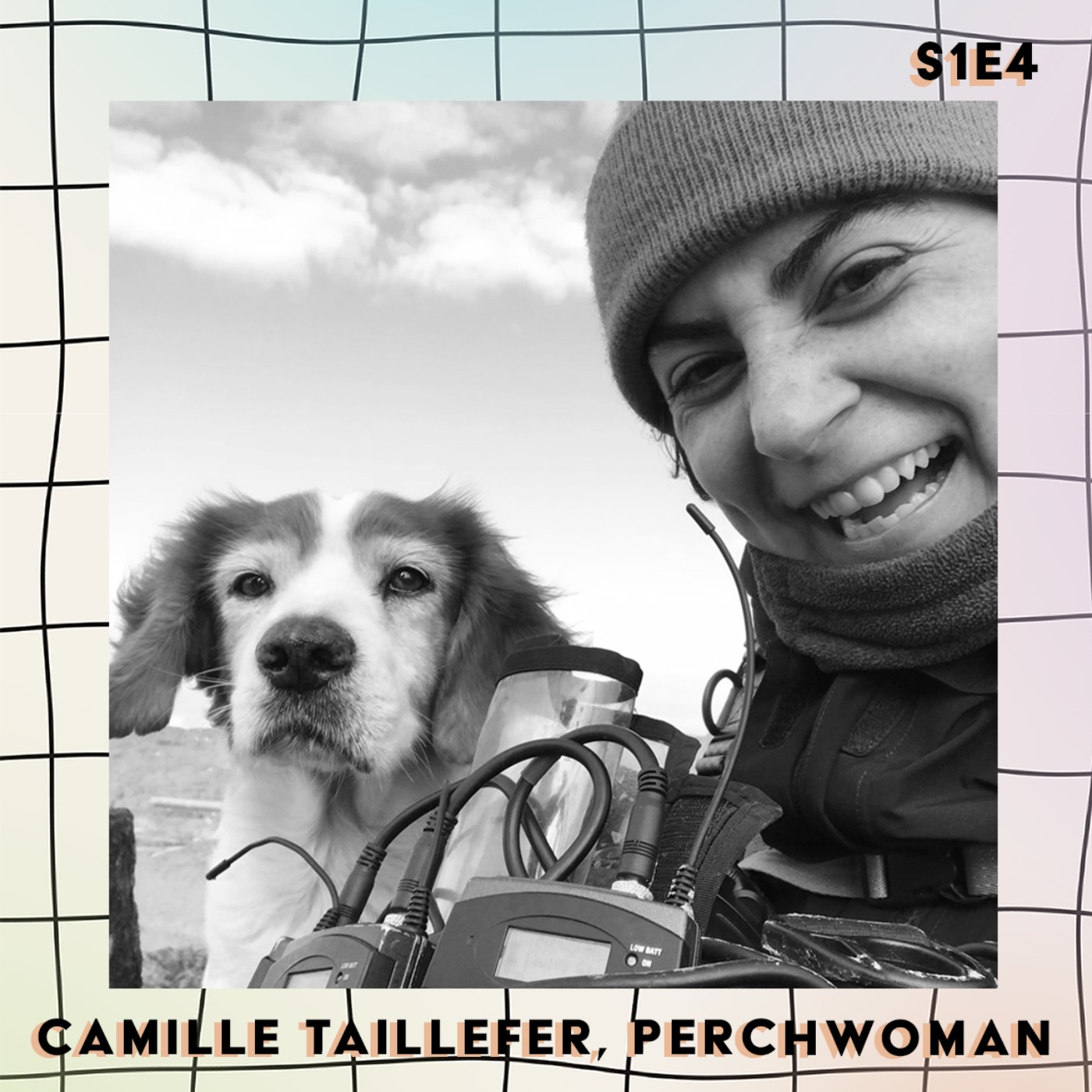 cover art for Camille Taillefer, perchwoman