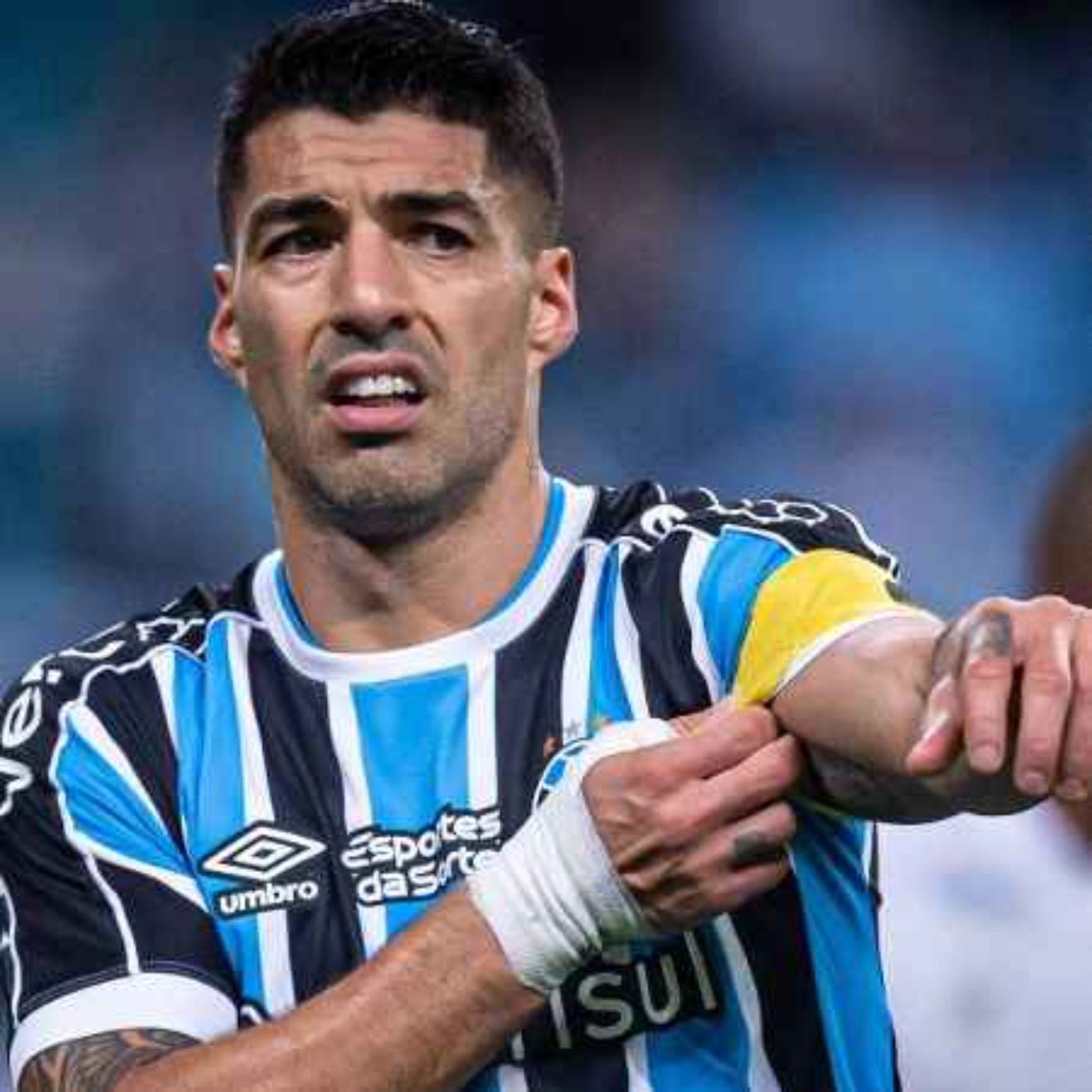 Bota na Roda