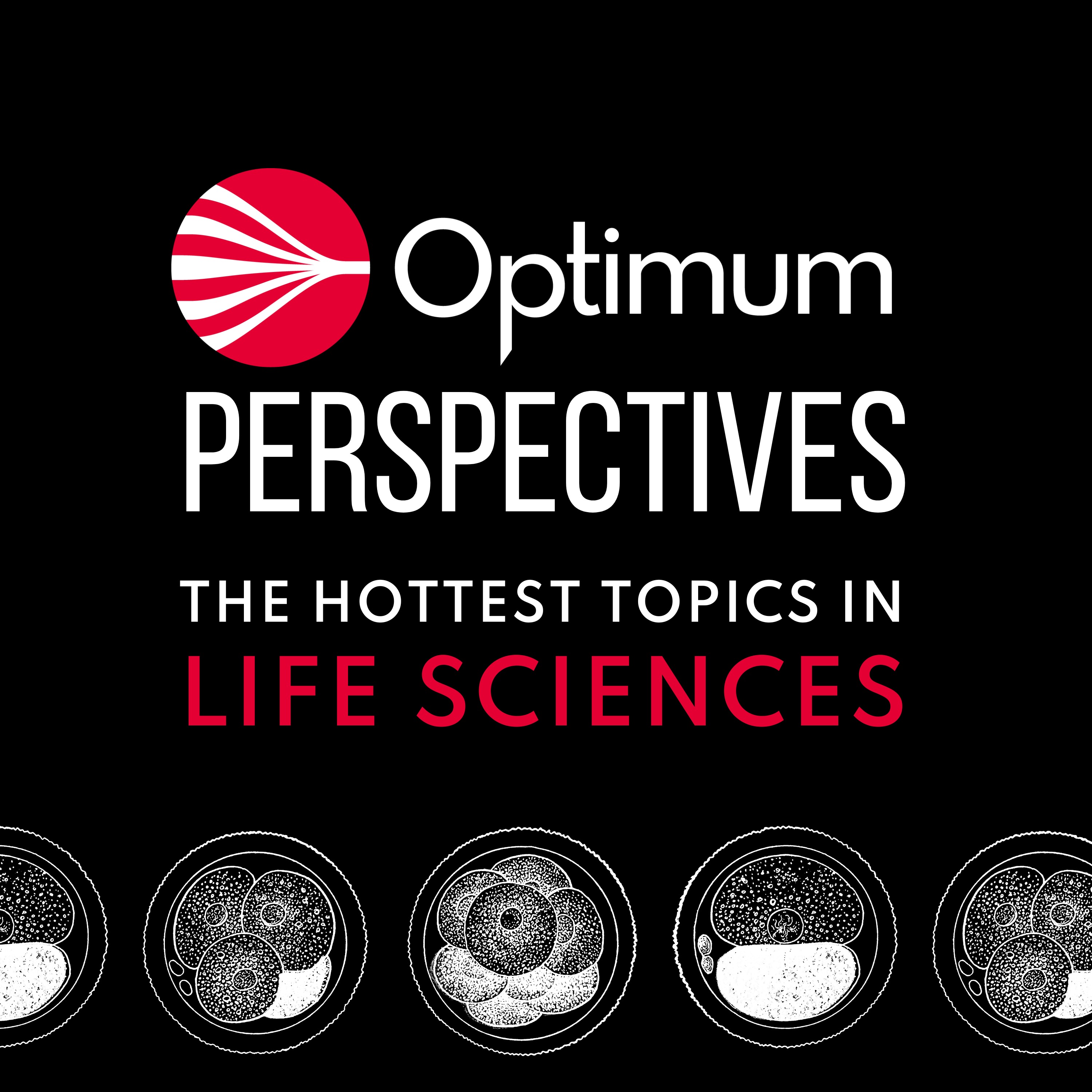 Optimum Perspectives