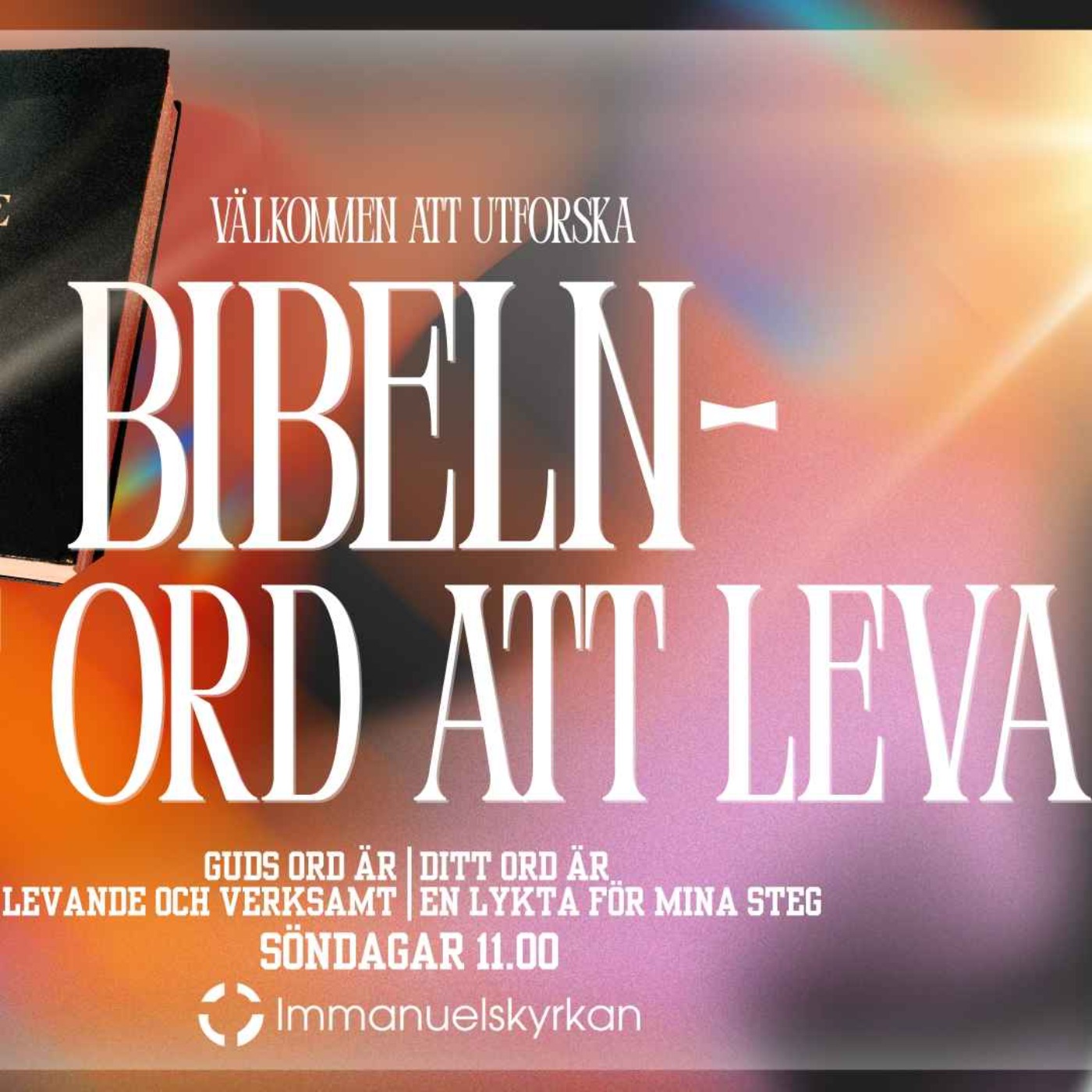 BIBELN - Ett ord att leva - Del1 episode artwork