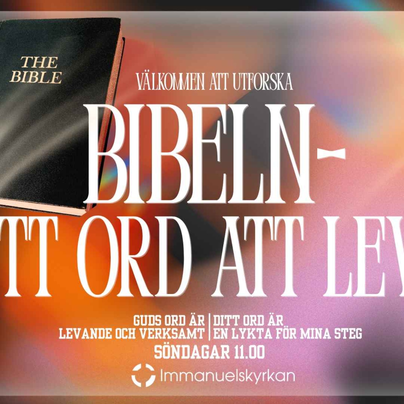 BIBELN - Ett ord att leva - Del2 episode artwork