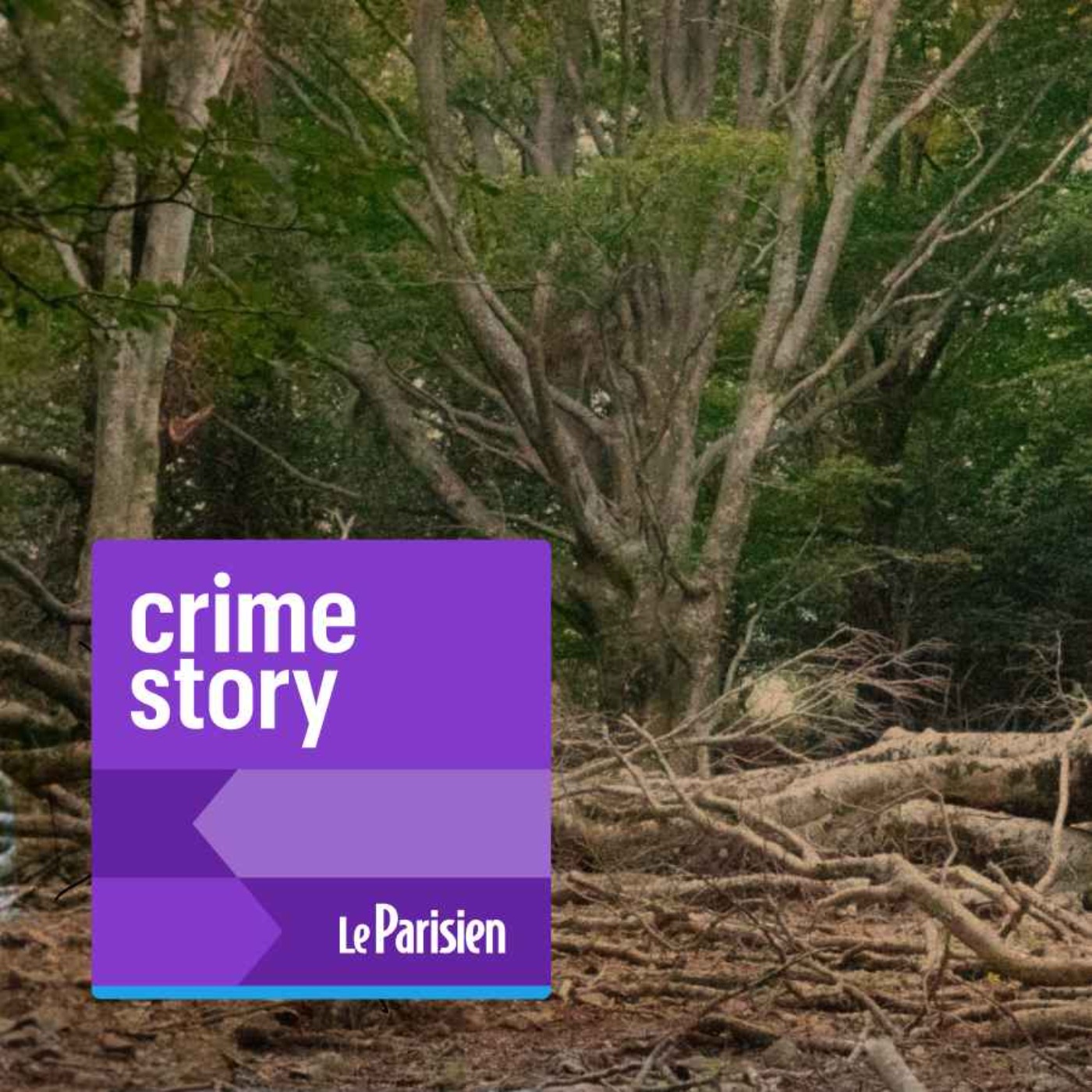 [1/2] L’affaire du Bois Bleu : le banquier assassiné et le poison de la rumeur