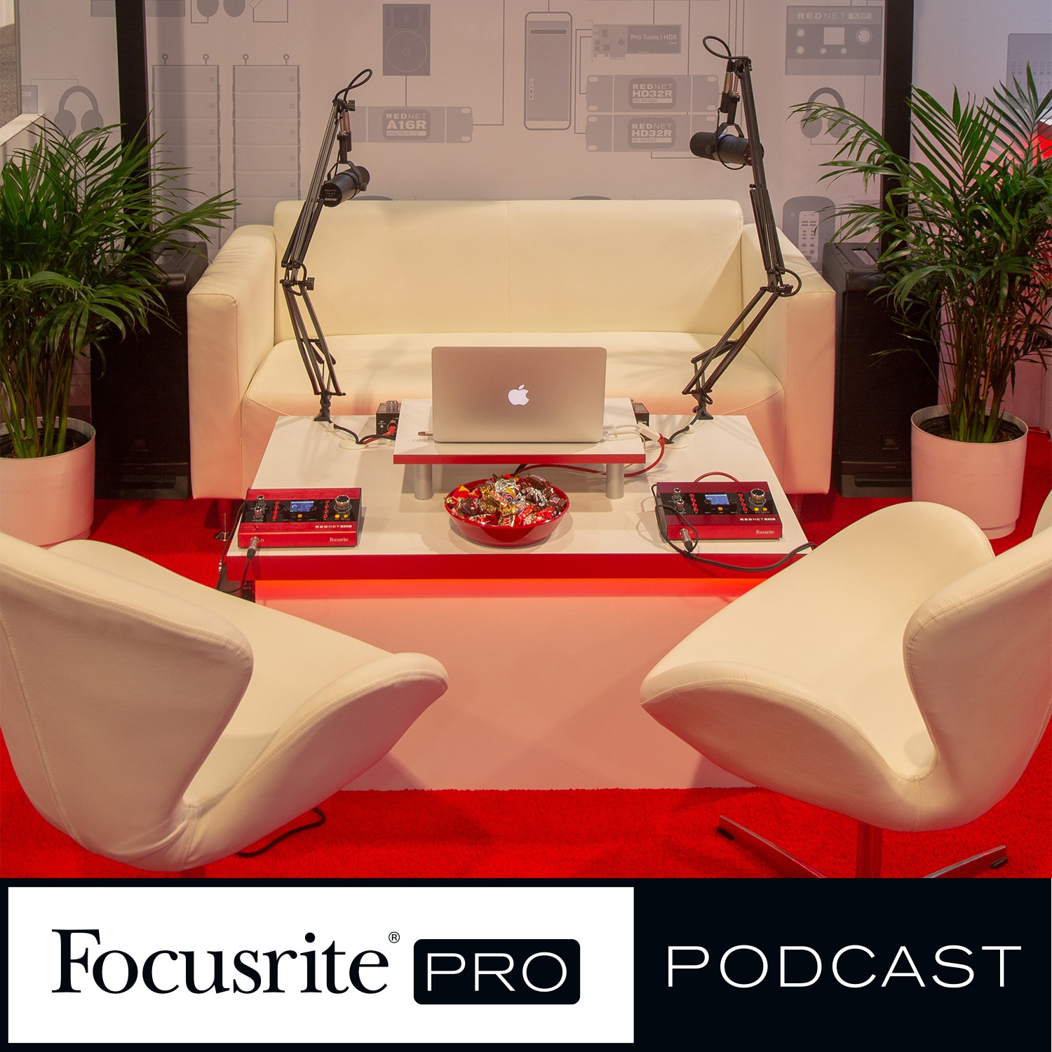 Focusrite Pro and Audio over IP