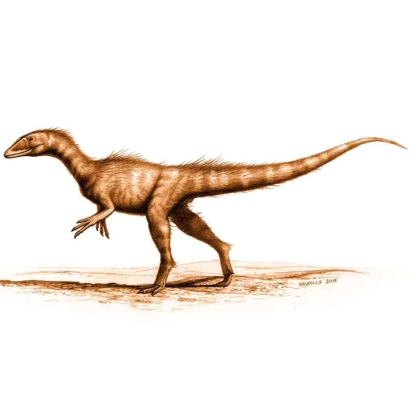 Dracoraptor, the Draconic Thief
