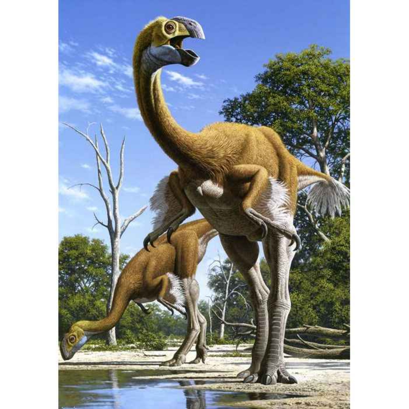 Gigantoraptor, the Gigantic Thief