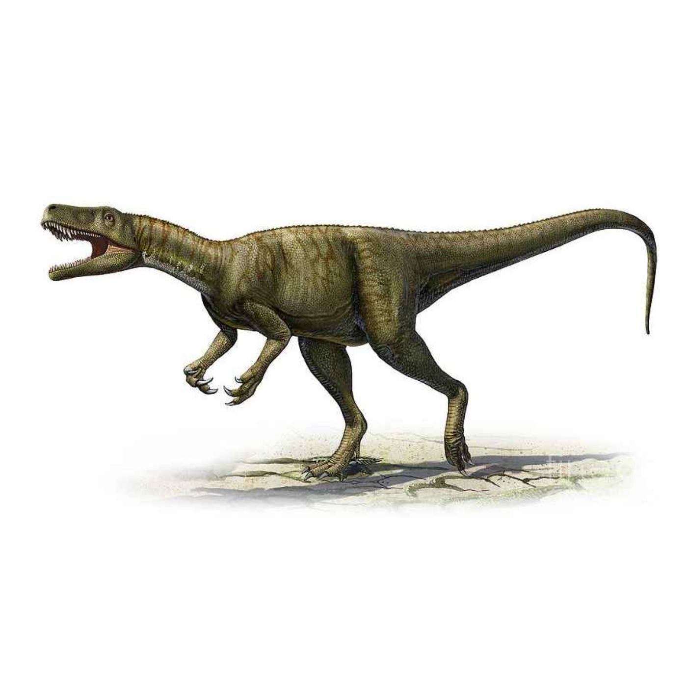 Herrerasaurus, the Lizard of Victorino Herrera